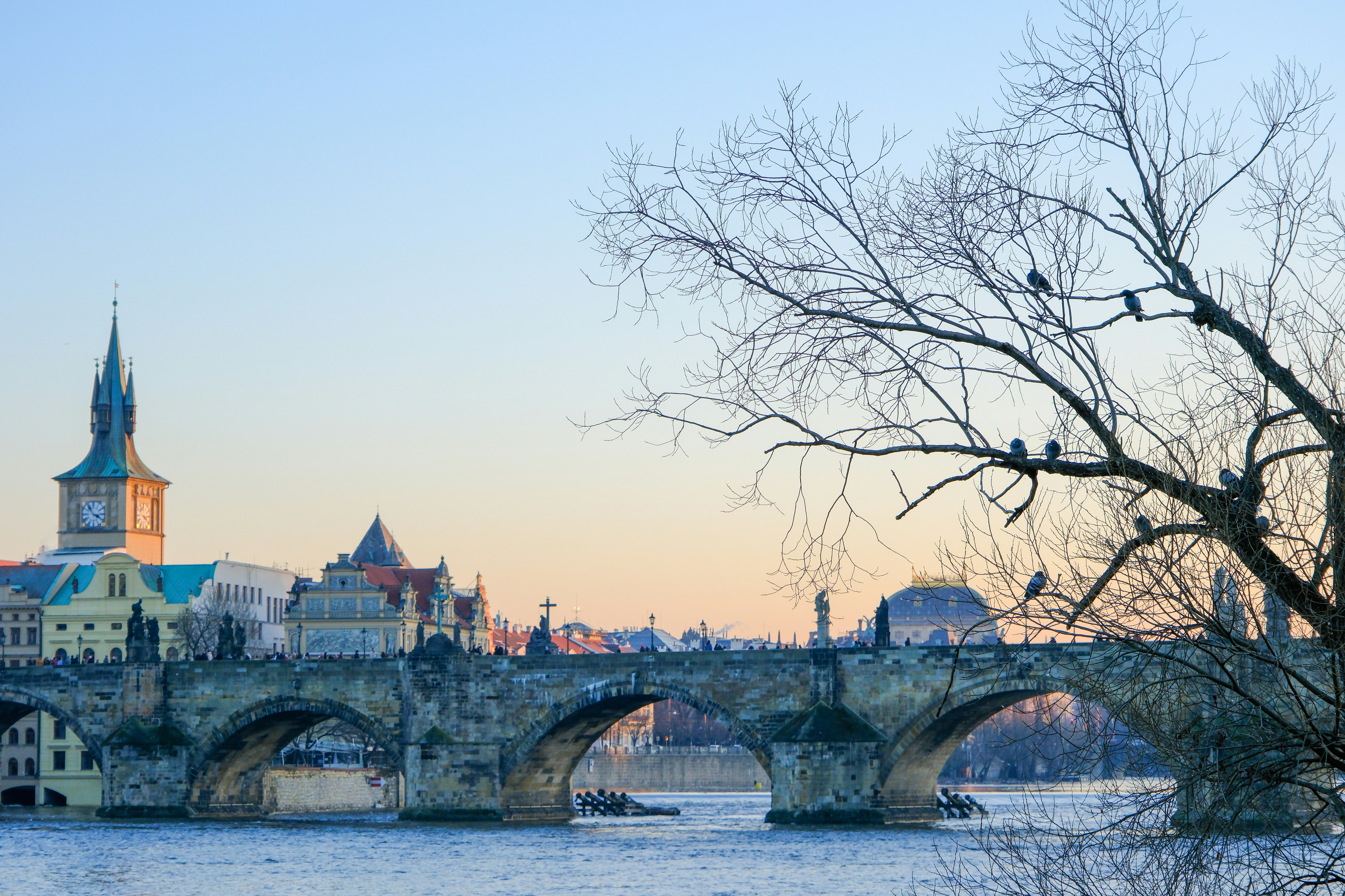 Photo by cestmoisheedy