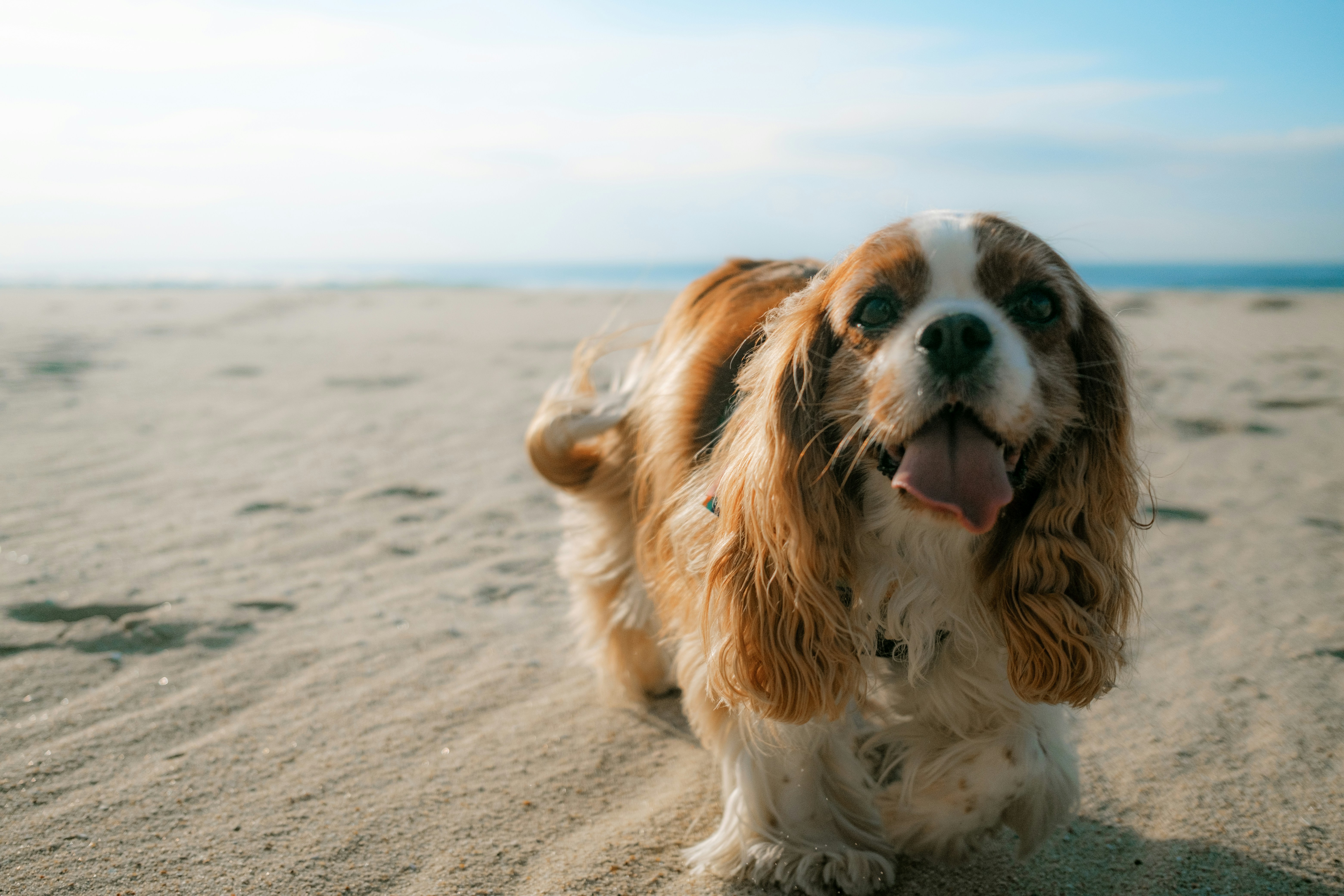 Photo by valentinlacoste