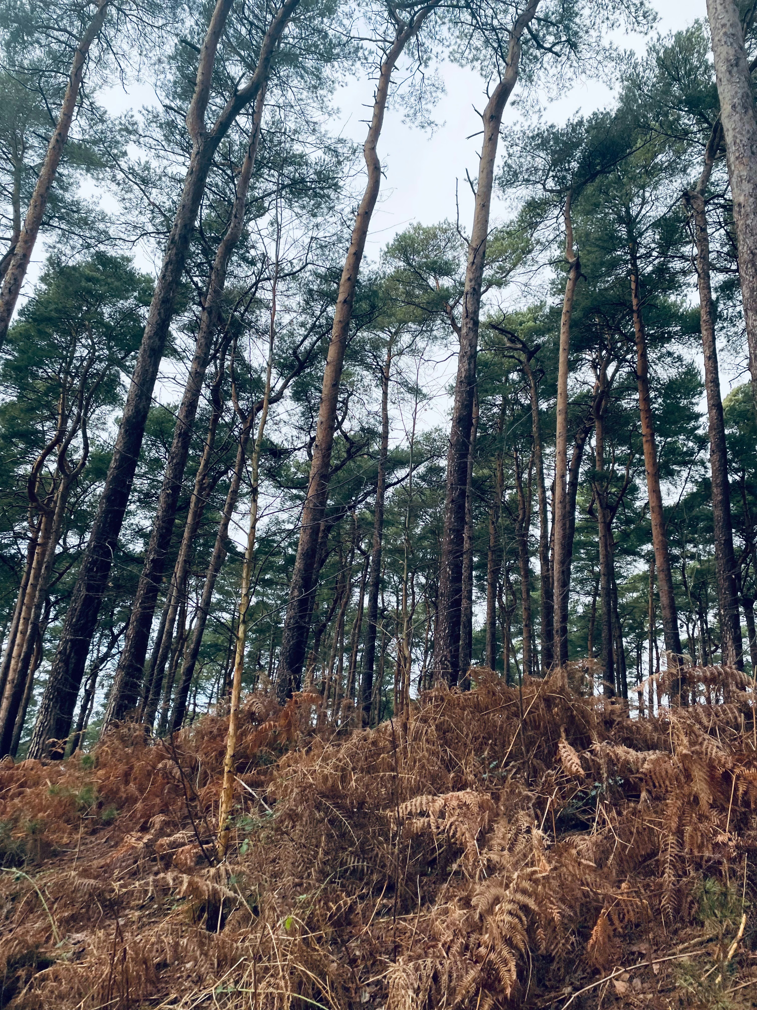 Photo by freddiecawthra