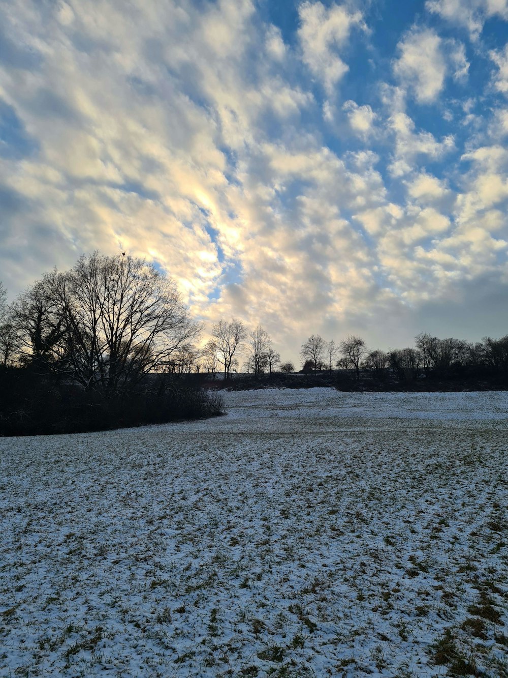 a snow covered field with trees in the distance