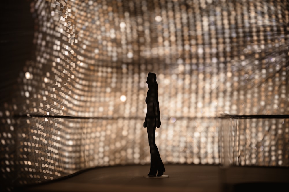 a silhouette of a person standing in front of a wall