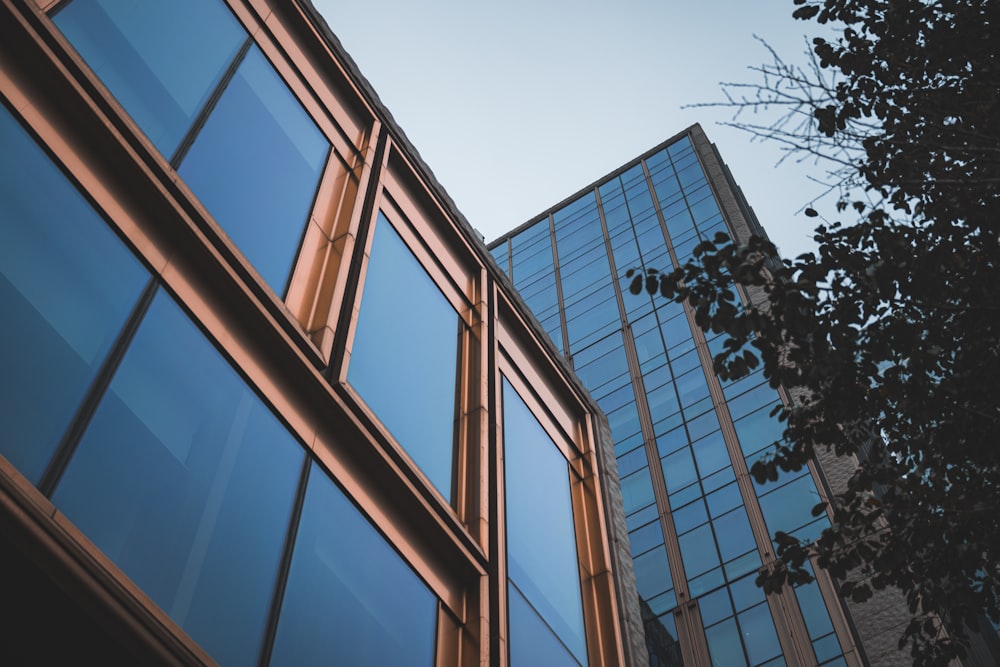 a tall building with lots of windows next to a tree