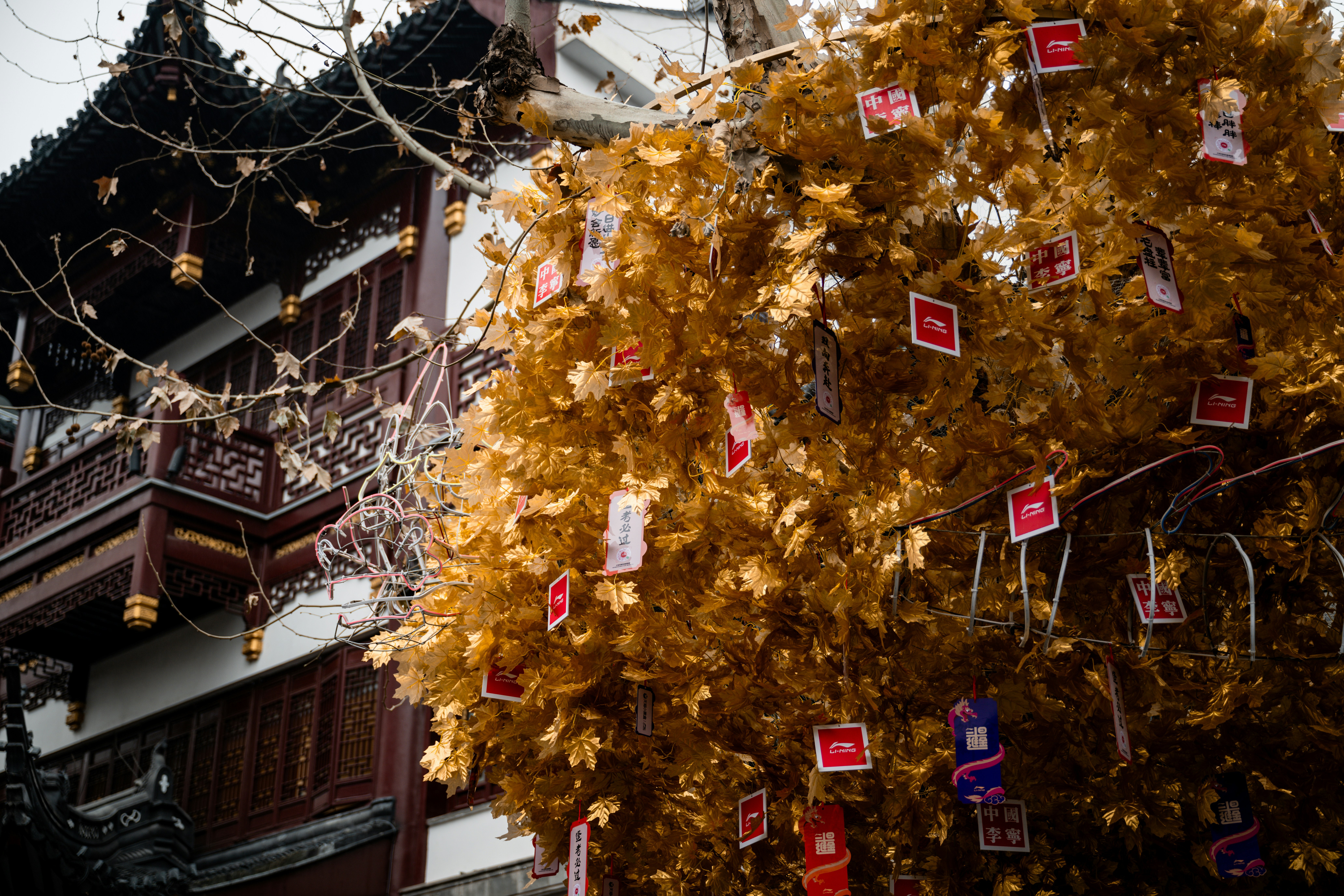 A golden tree with paper cards hanging on it