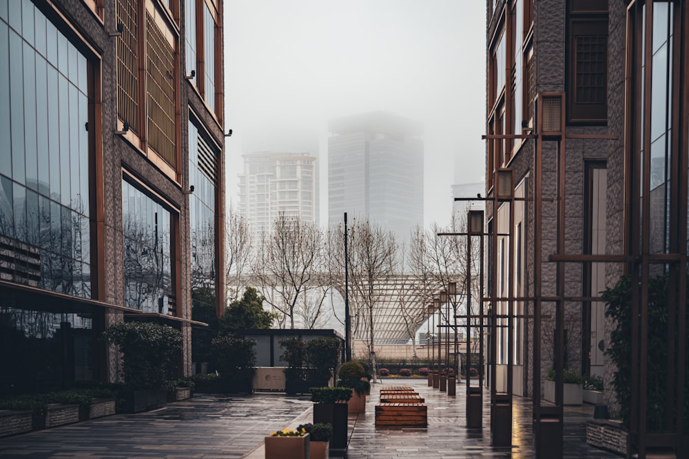 a city street with tall buildings in the background