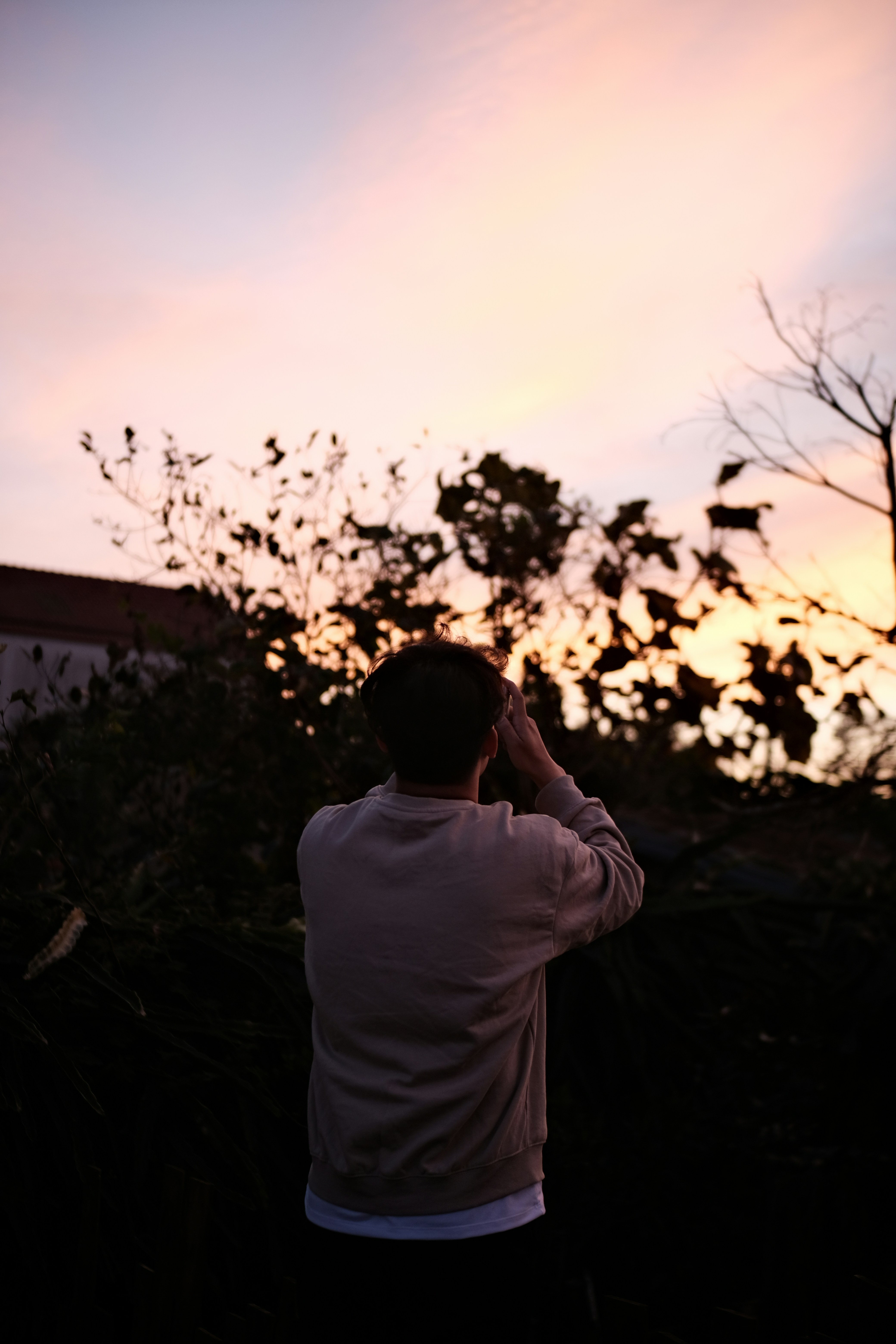 Photo by dvhoang2106