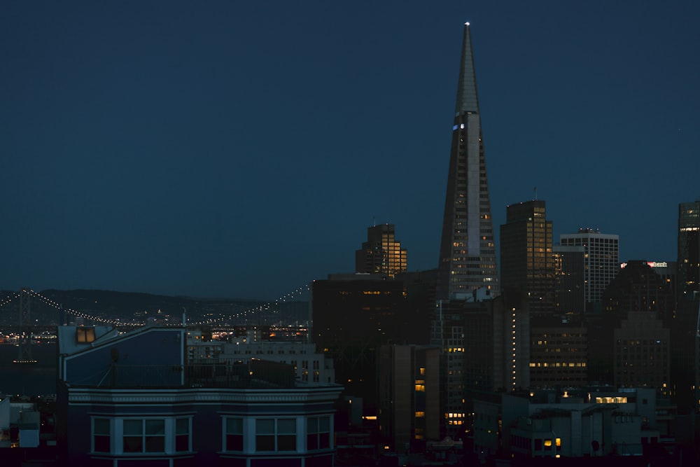 a view of a city skyline at night