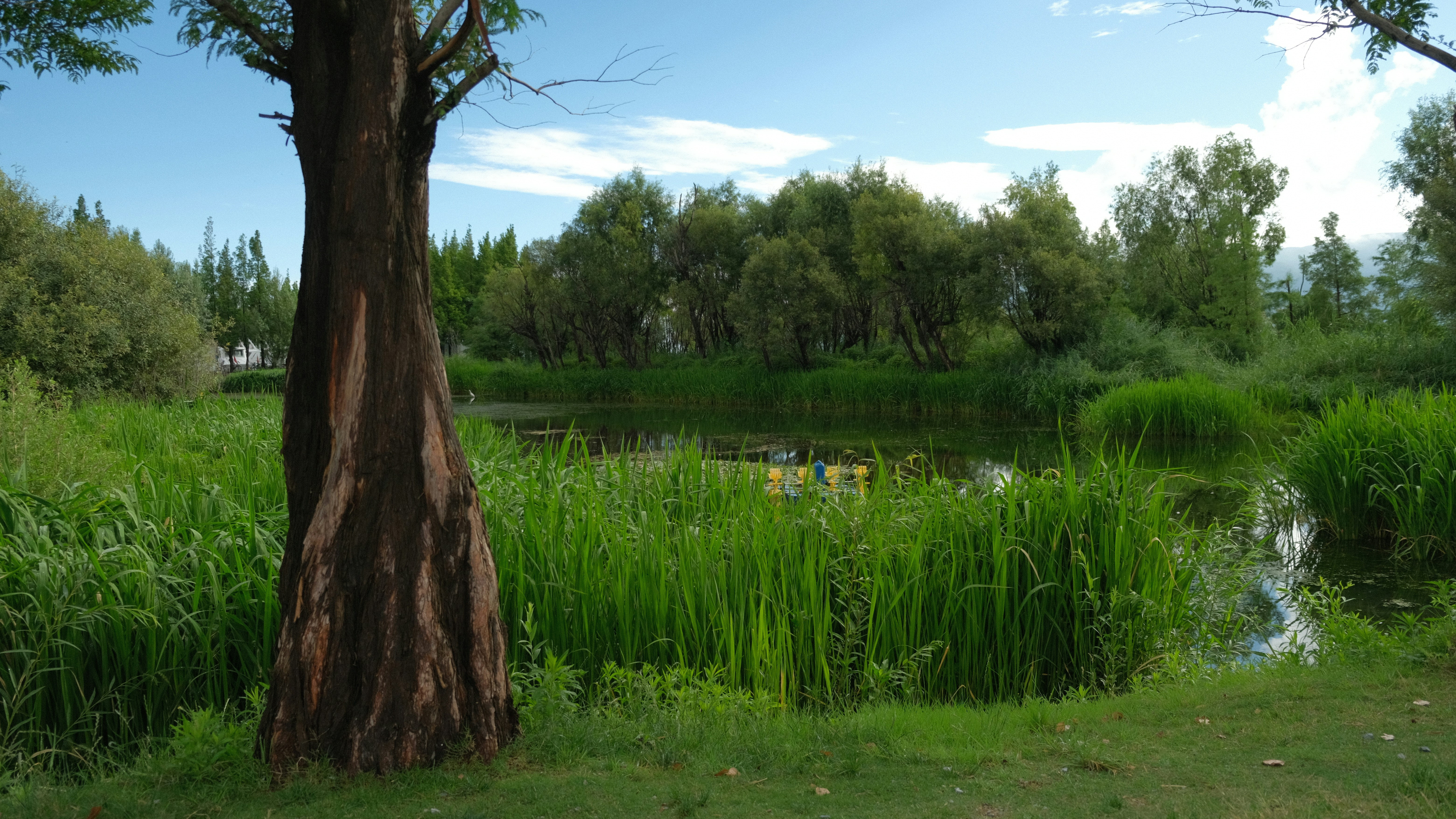 Photo by guo935809915