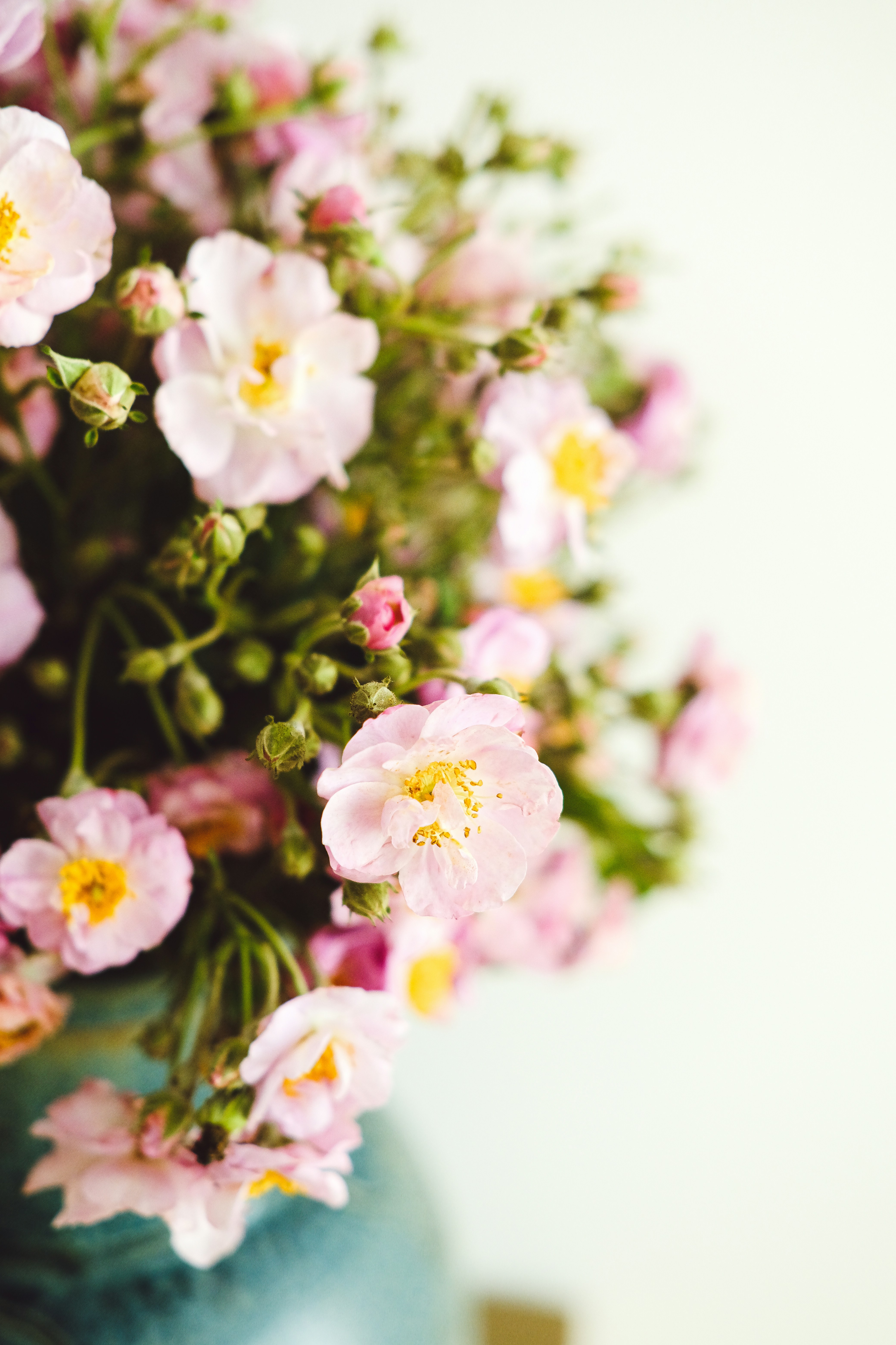 Photo by nganduong93