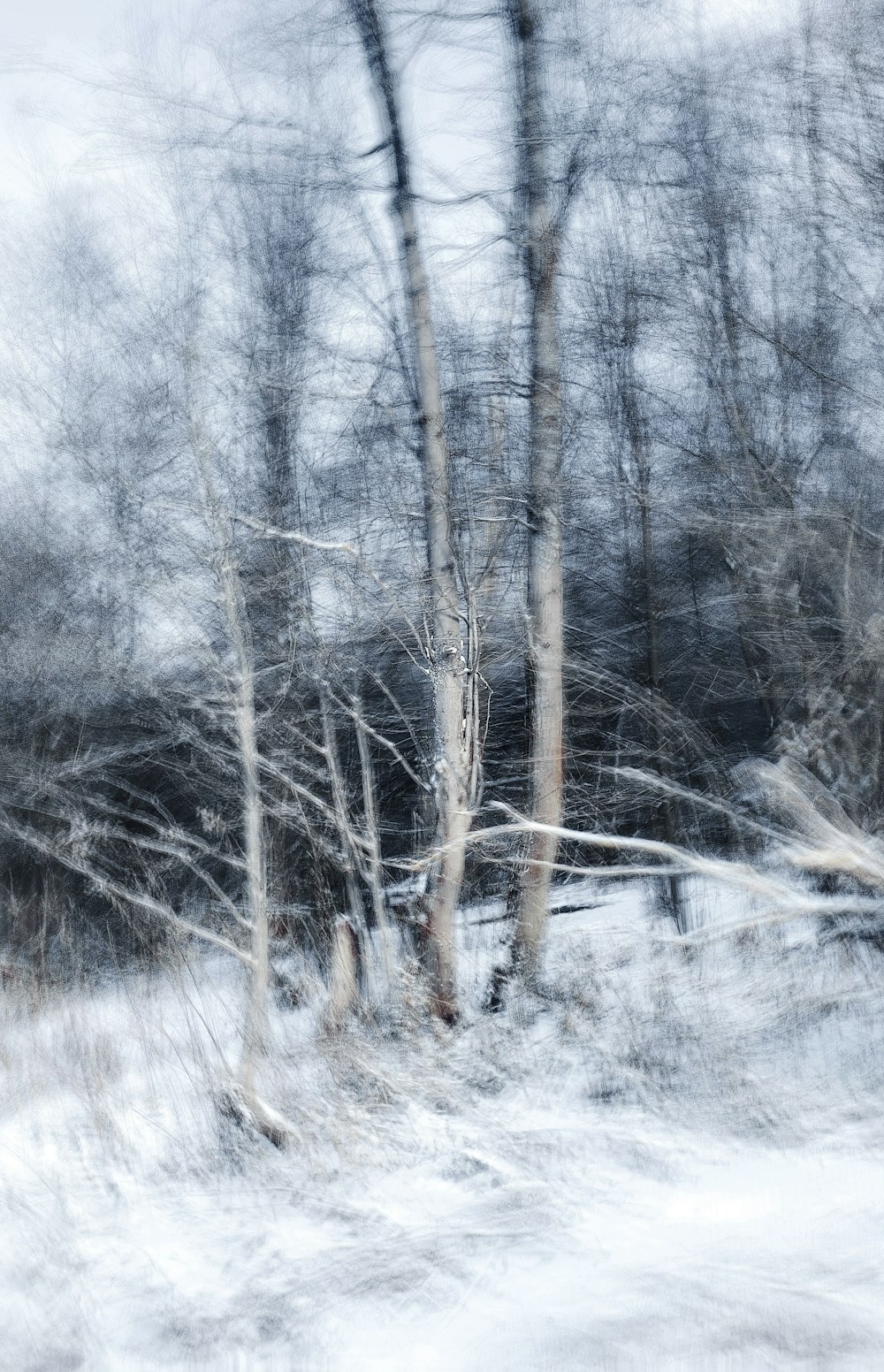 a blurry photo of trees in the snow