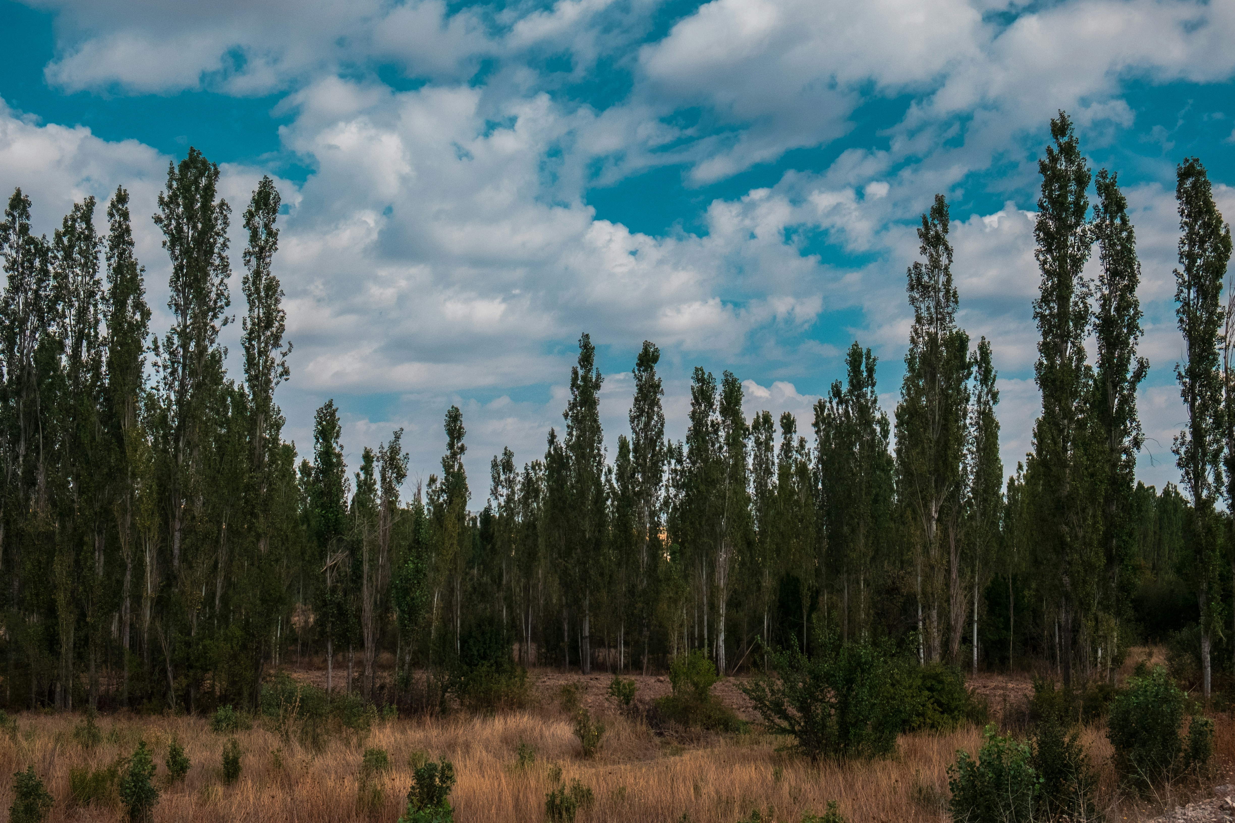 Photo by mo_design_3d