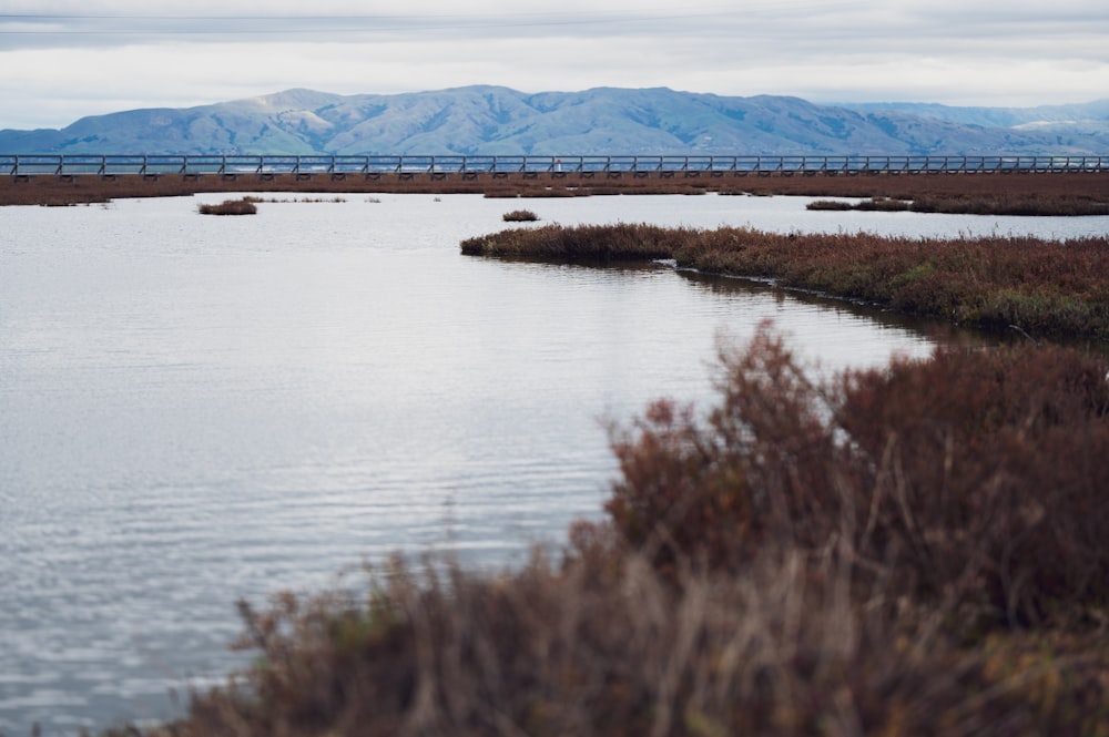 a body of water with a bridge in the background