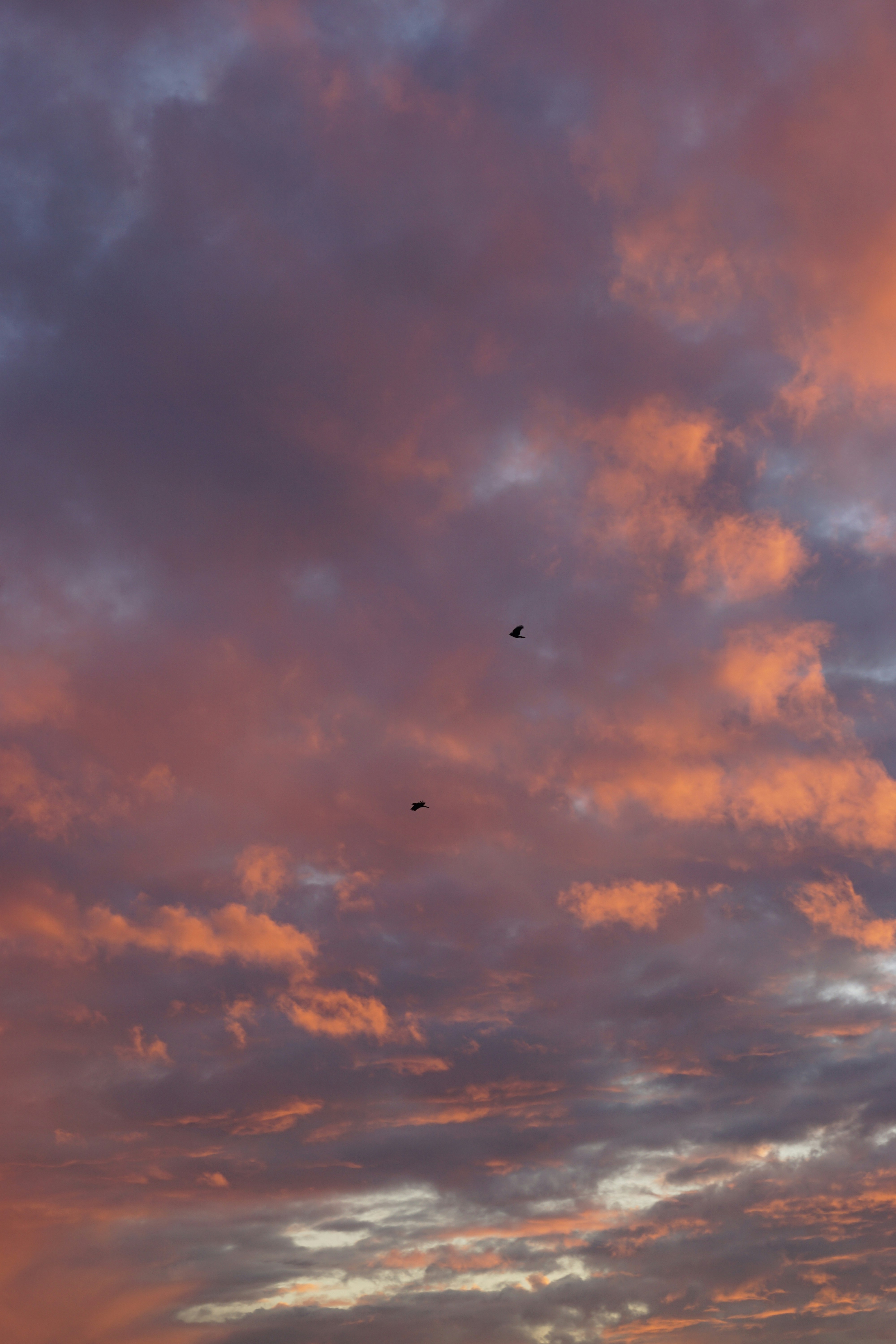 Photo by diadesigner