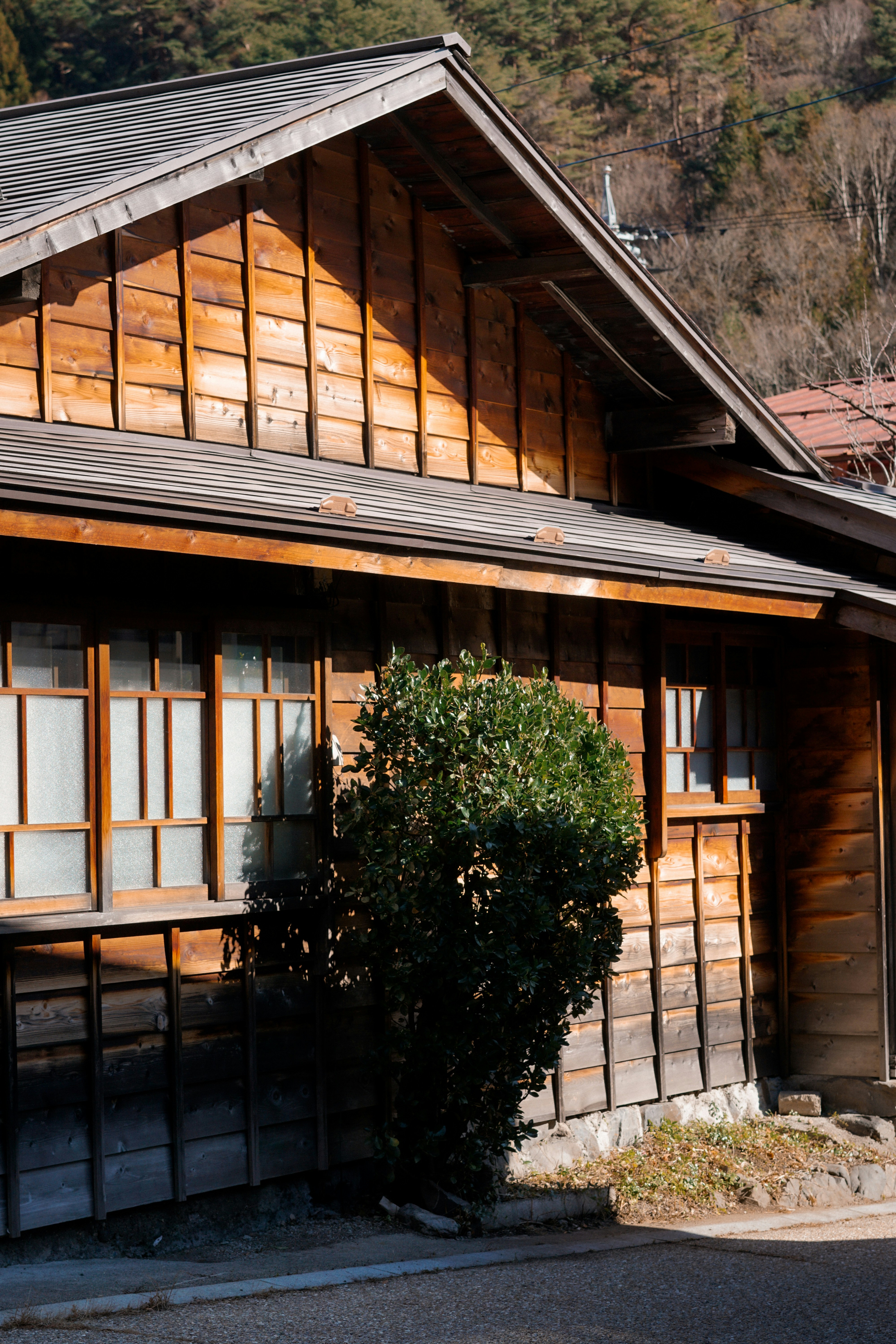 Photo by diadesigner