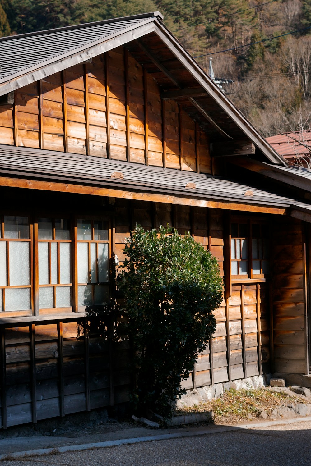 a wooden building with a tree in front of it