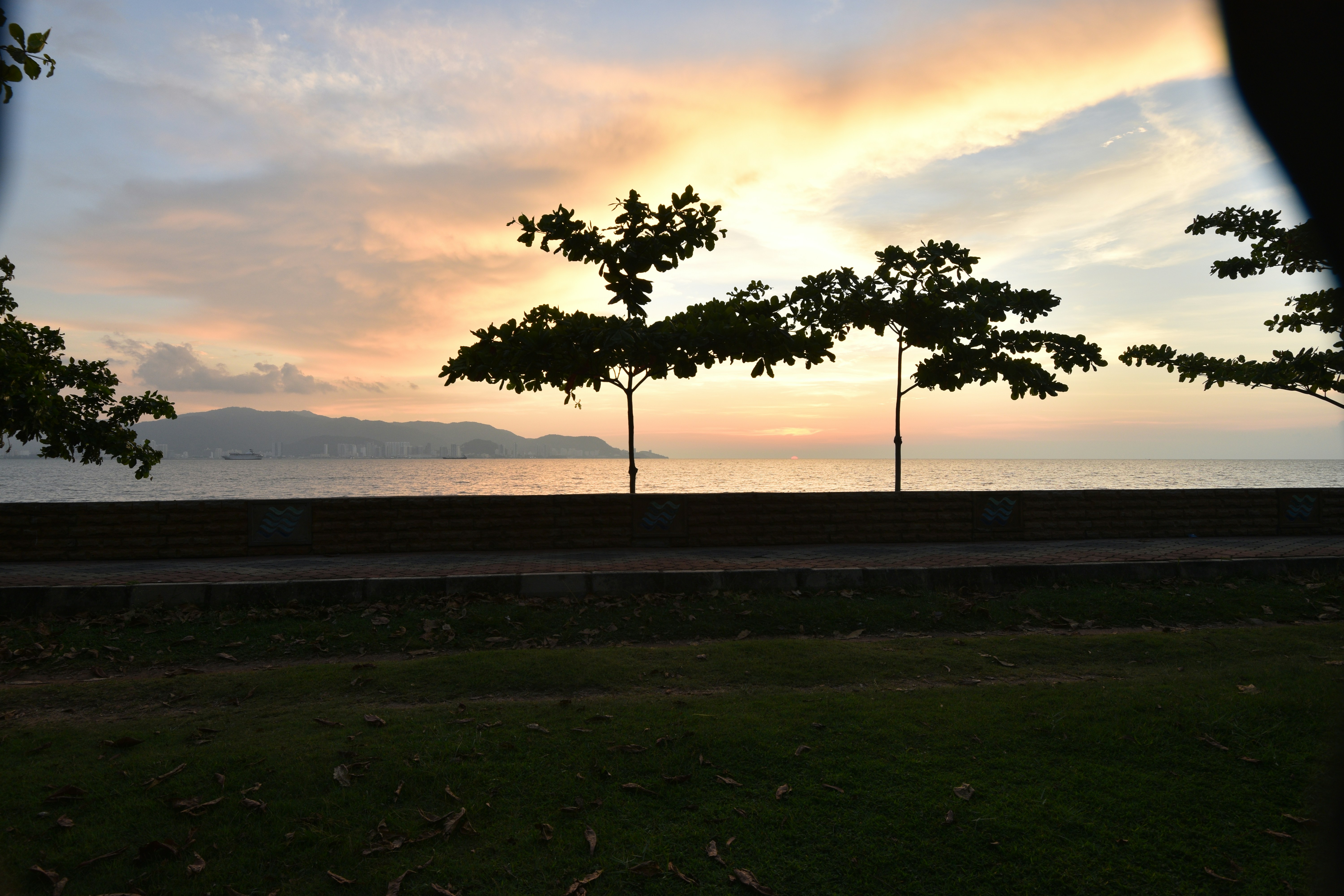 Photo by northern_99