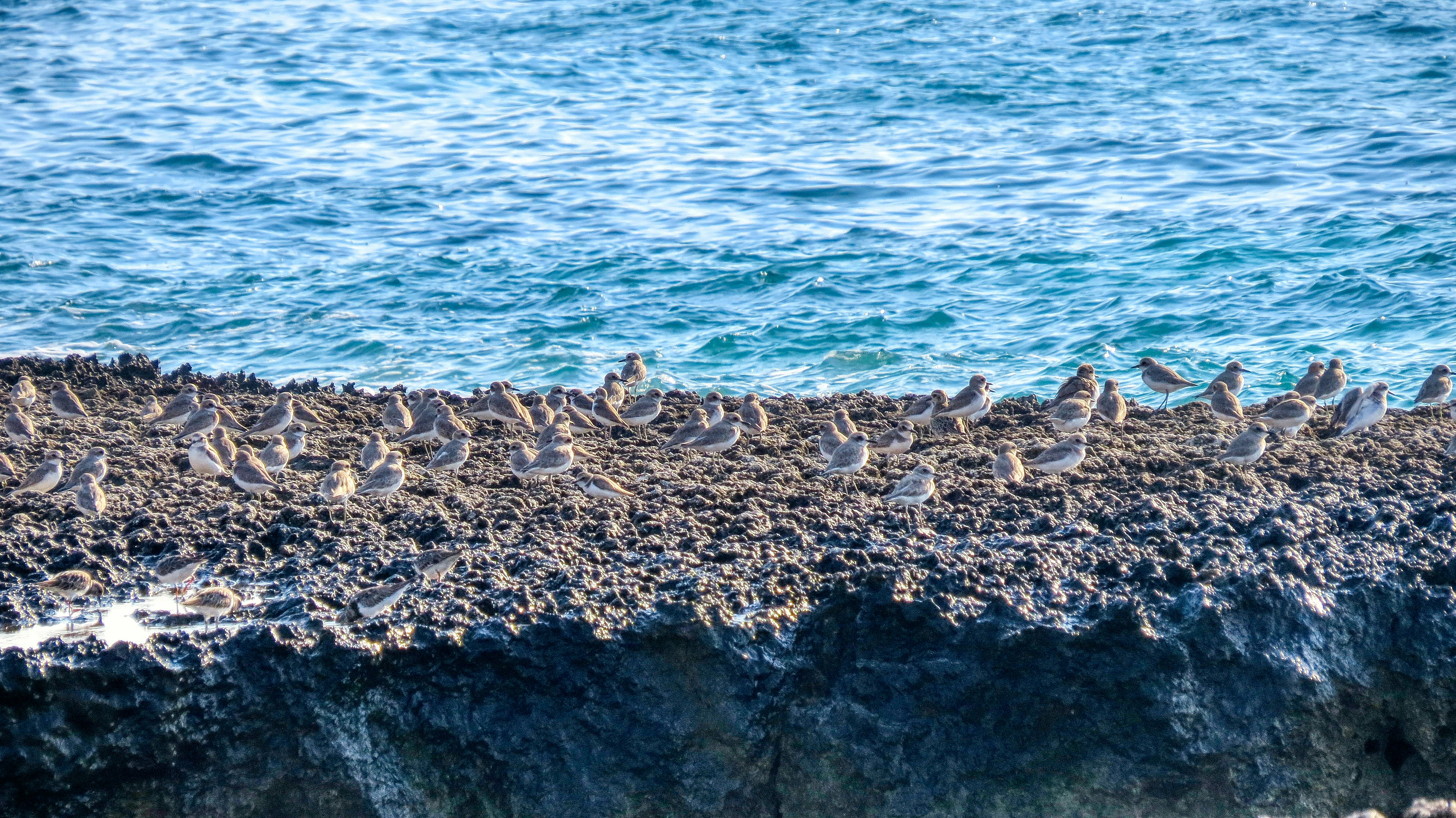 Photo by aliarjmandi