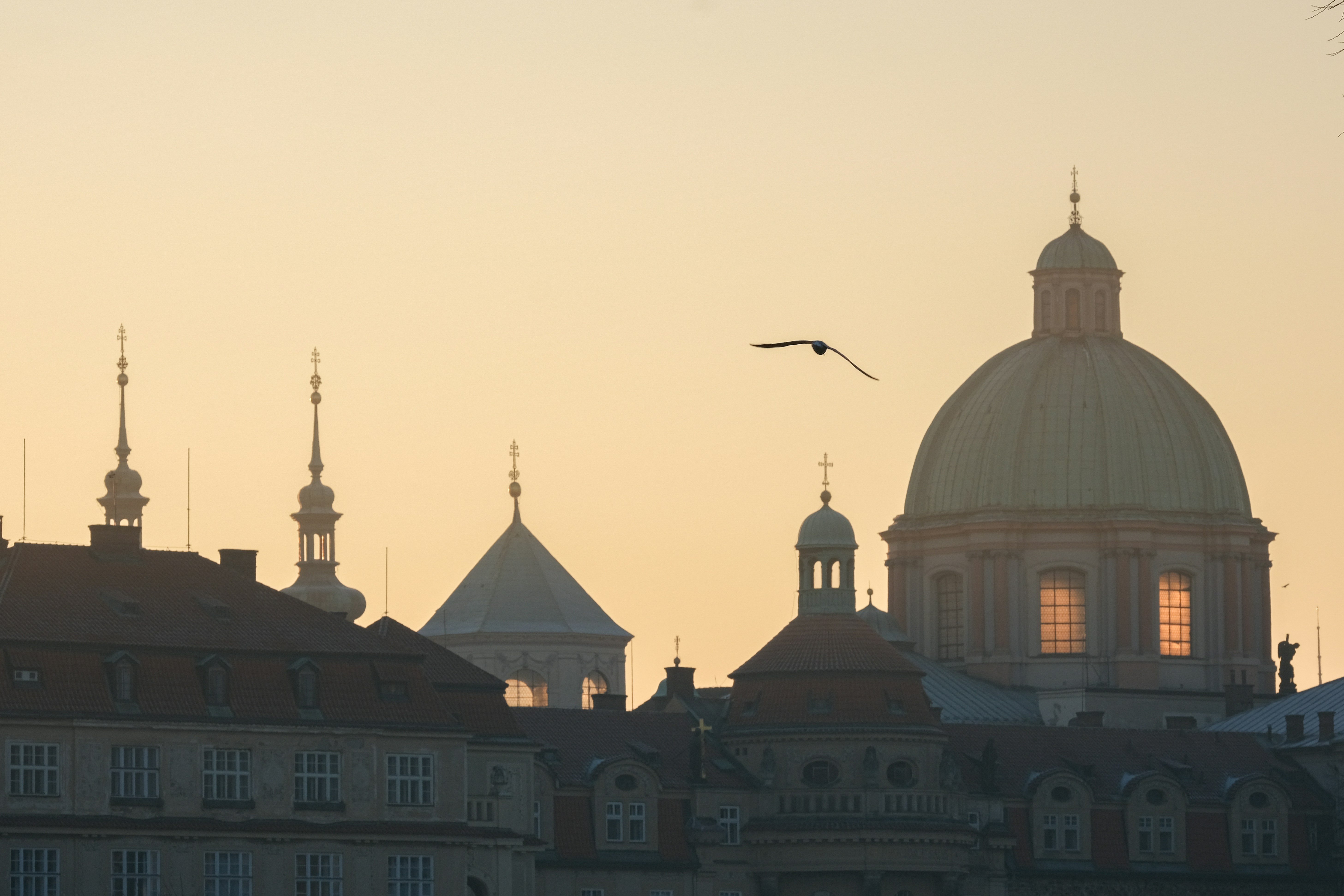 Photo by cestmoisheedy