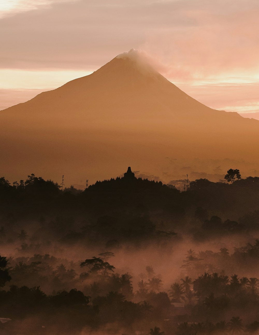 a view of a mountain in the distance with trees in the foreground