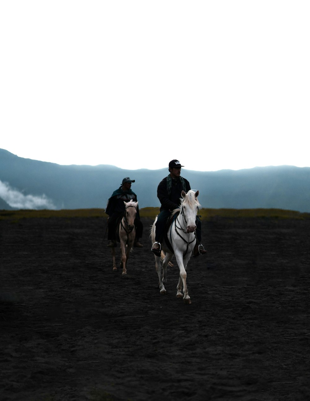 a couple of people riding on the backs of horses