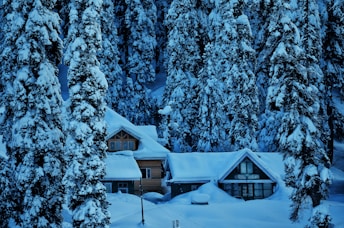 a house in the middle of a forest covered in snow