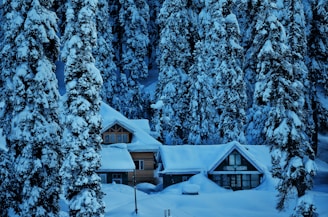 a house in the middle of a forest covered in snow