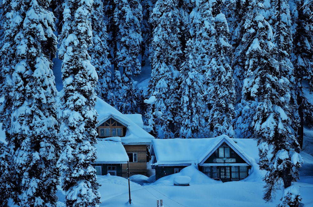 a house in the middle of a forest covered in snow