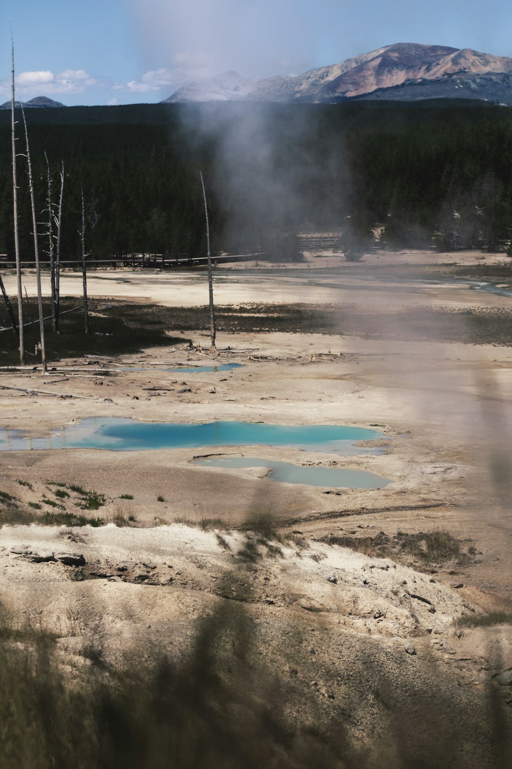 a blue pool of water surrounded by trees