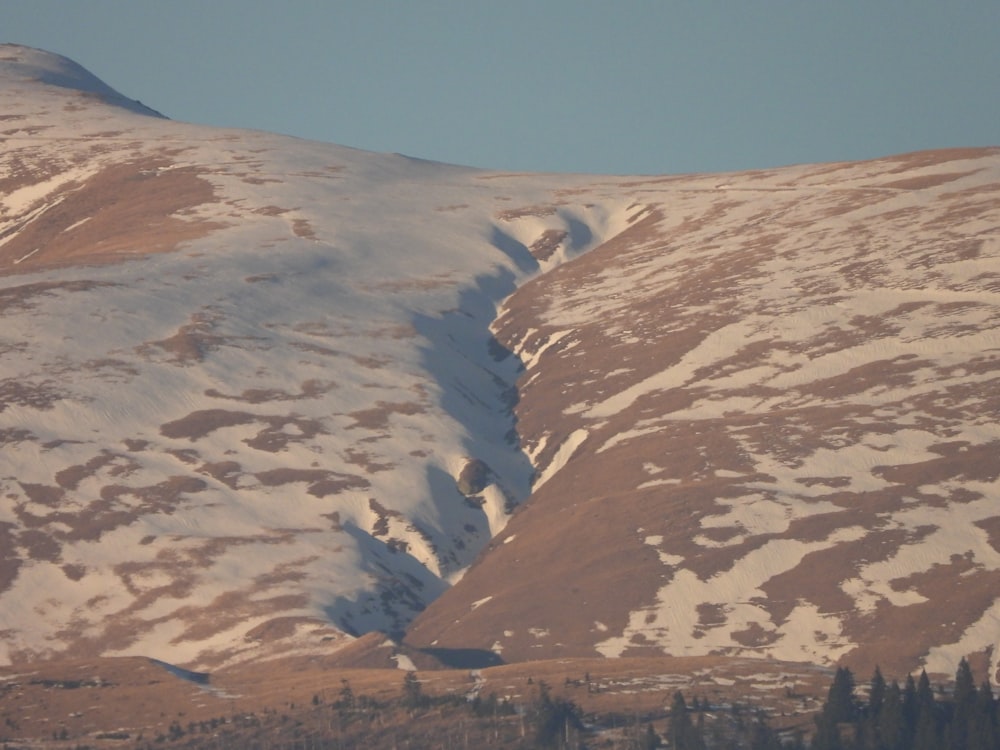 a snow covered mountain side with trees in the foreground