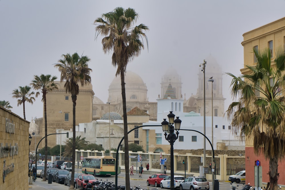 a city street filled with lots of palm trees