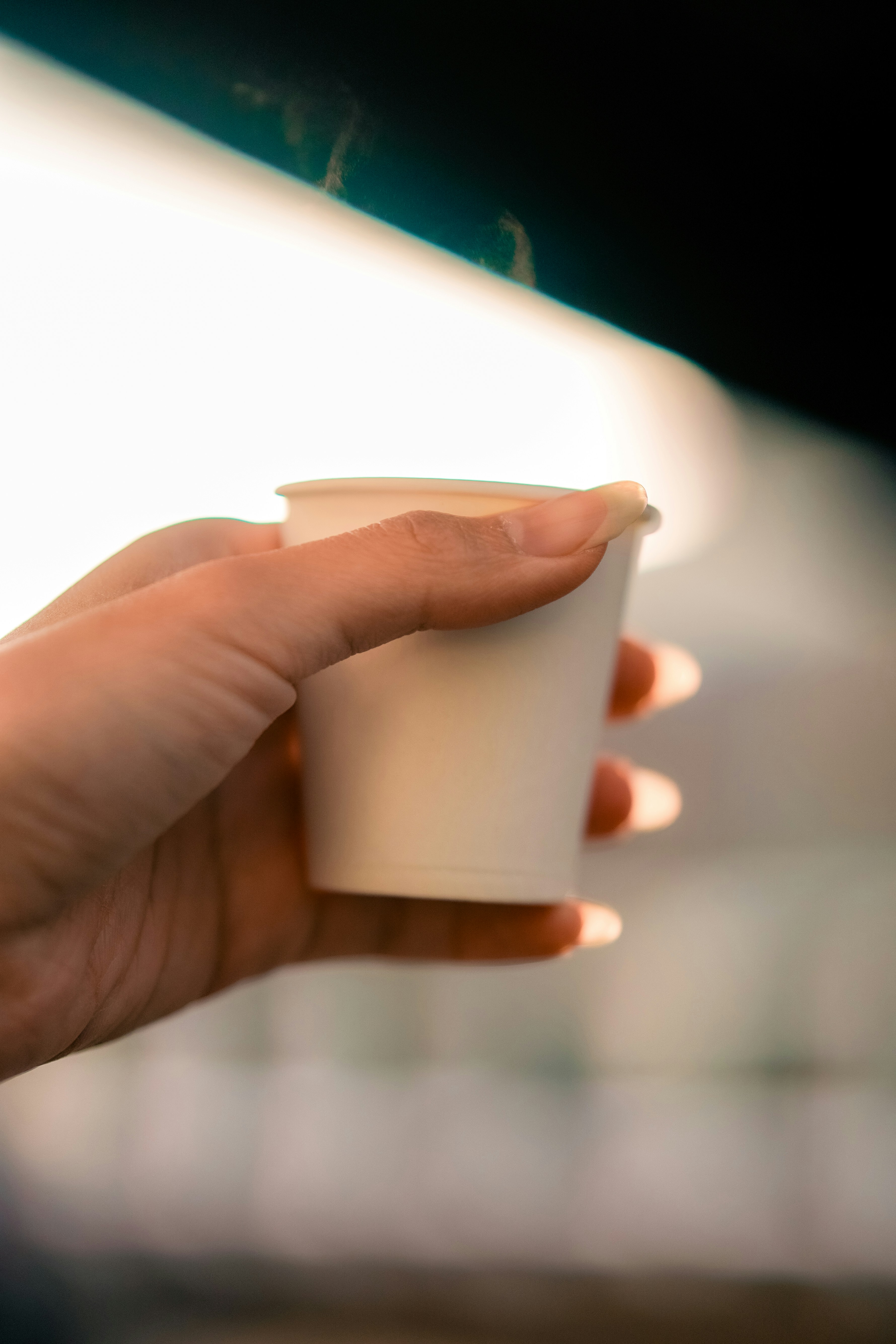 Photo by madeline_sd