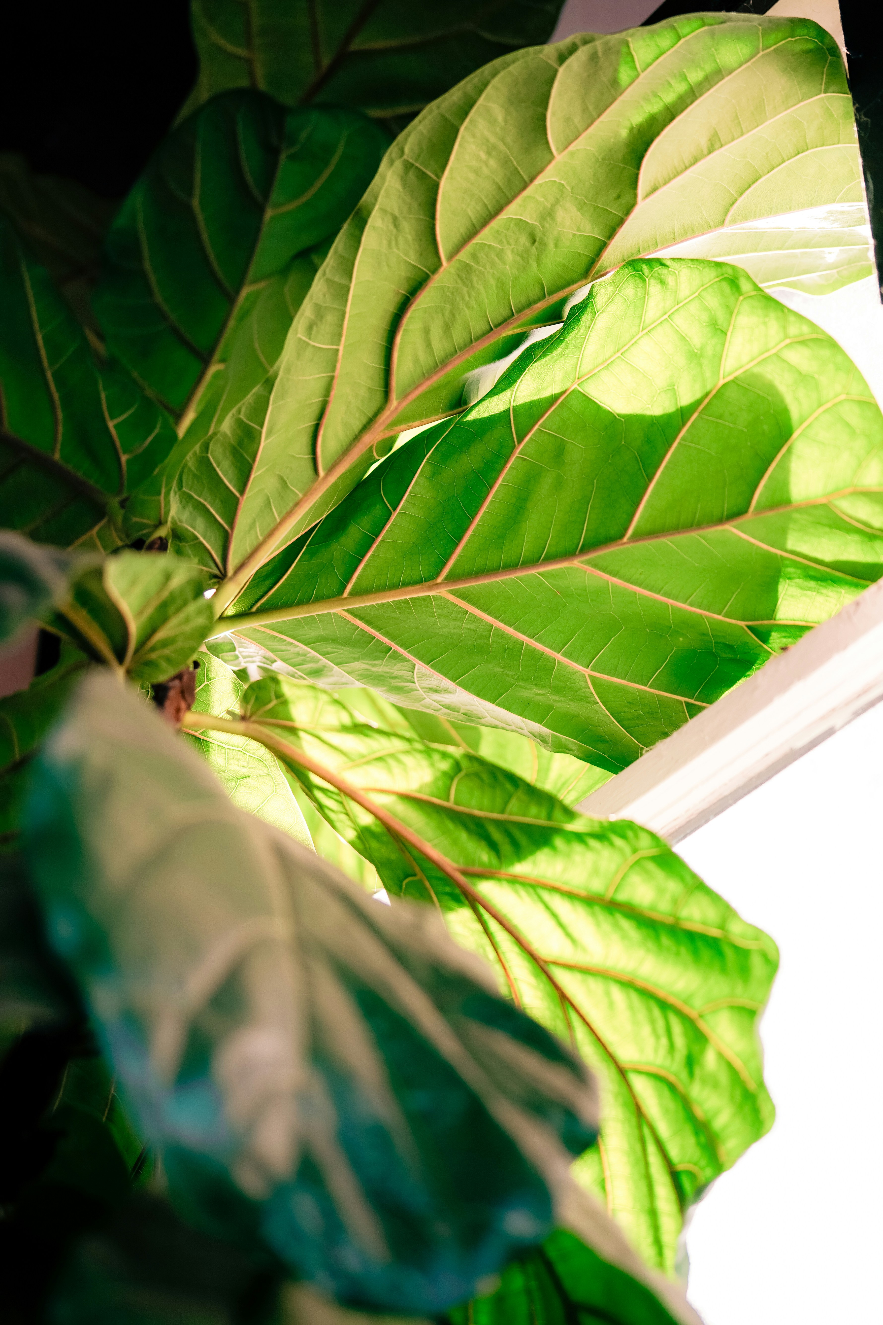 Photo by madeline_sd