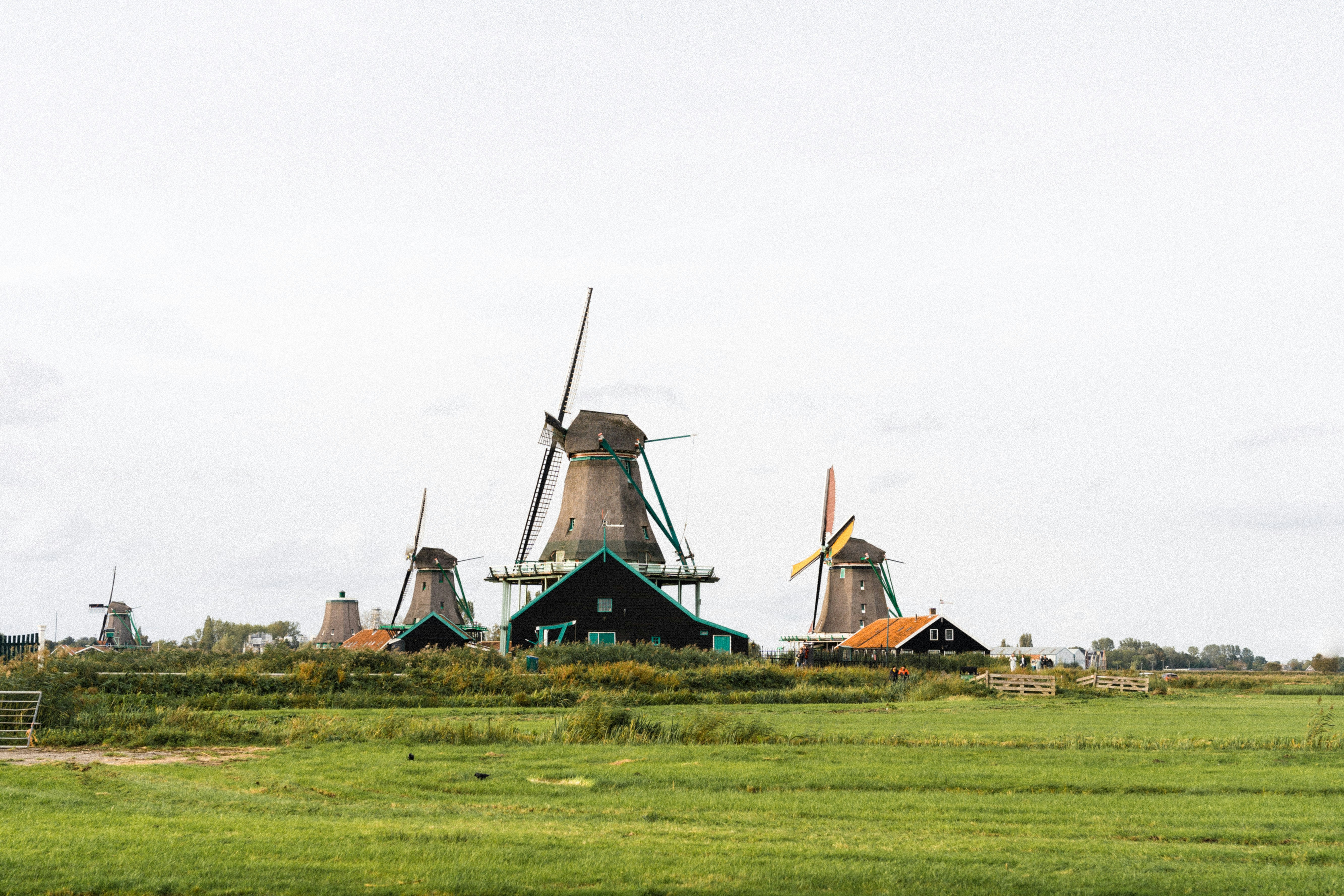 several windmills in a green field with trees in the background