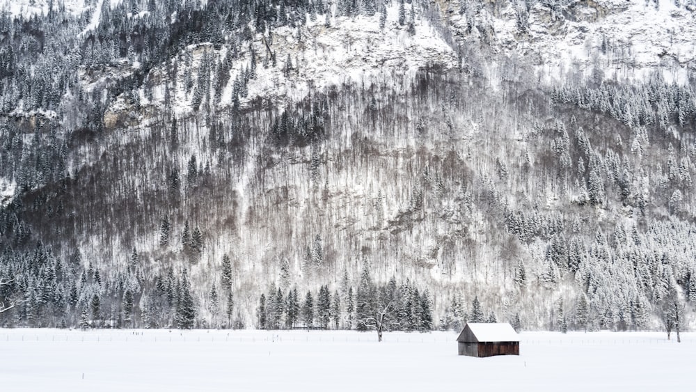 a small cabin in the middle of a snowy field