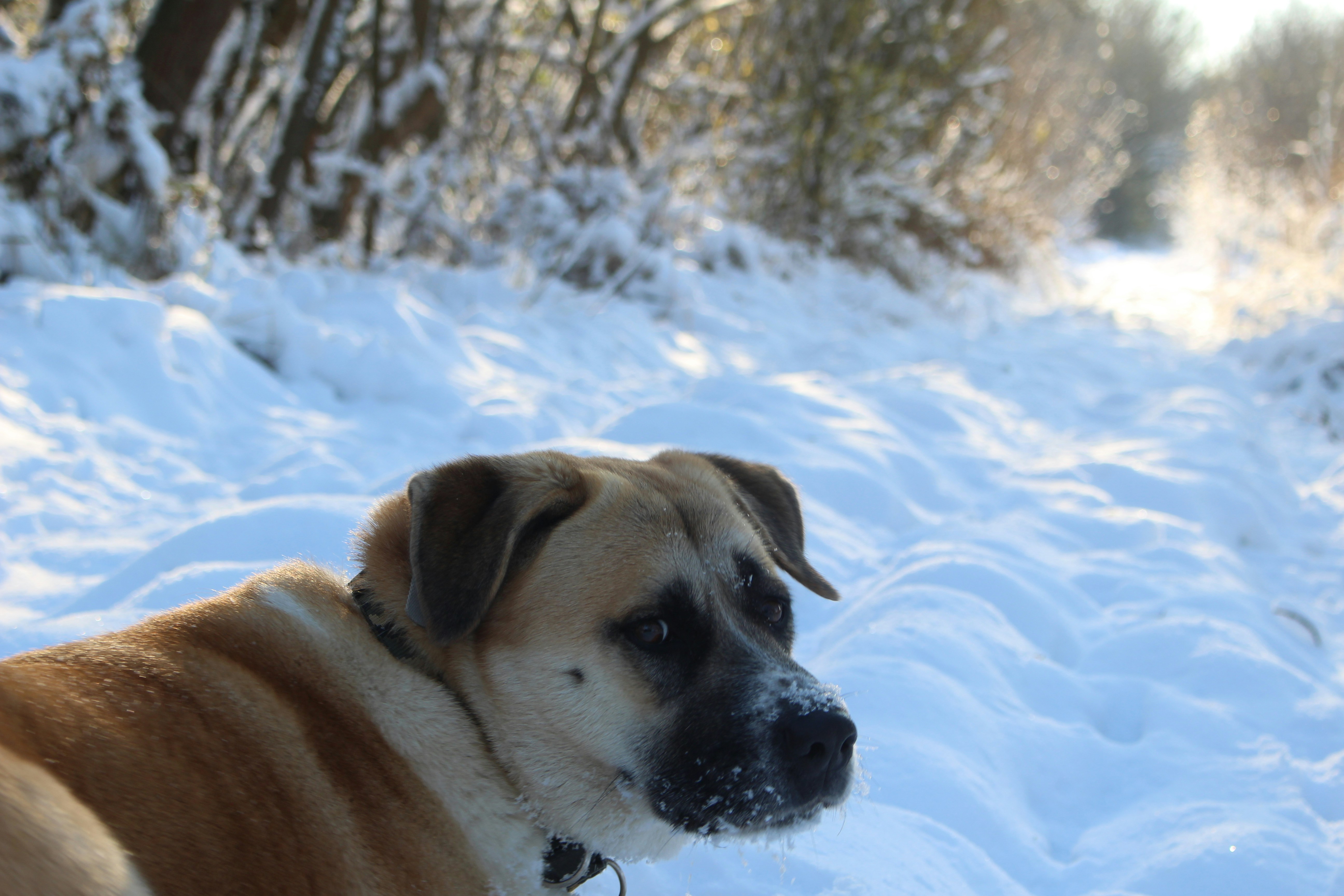 Photo by marjorylucabaxter