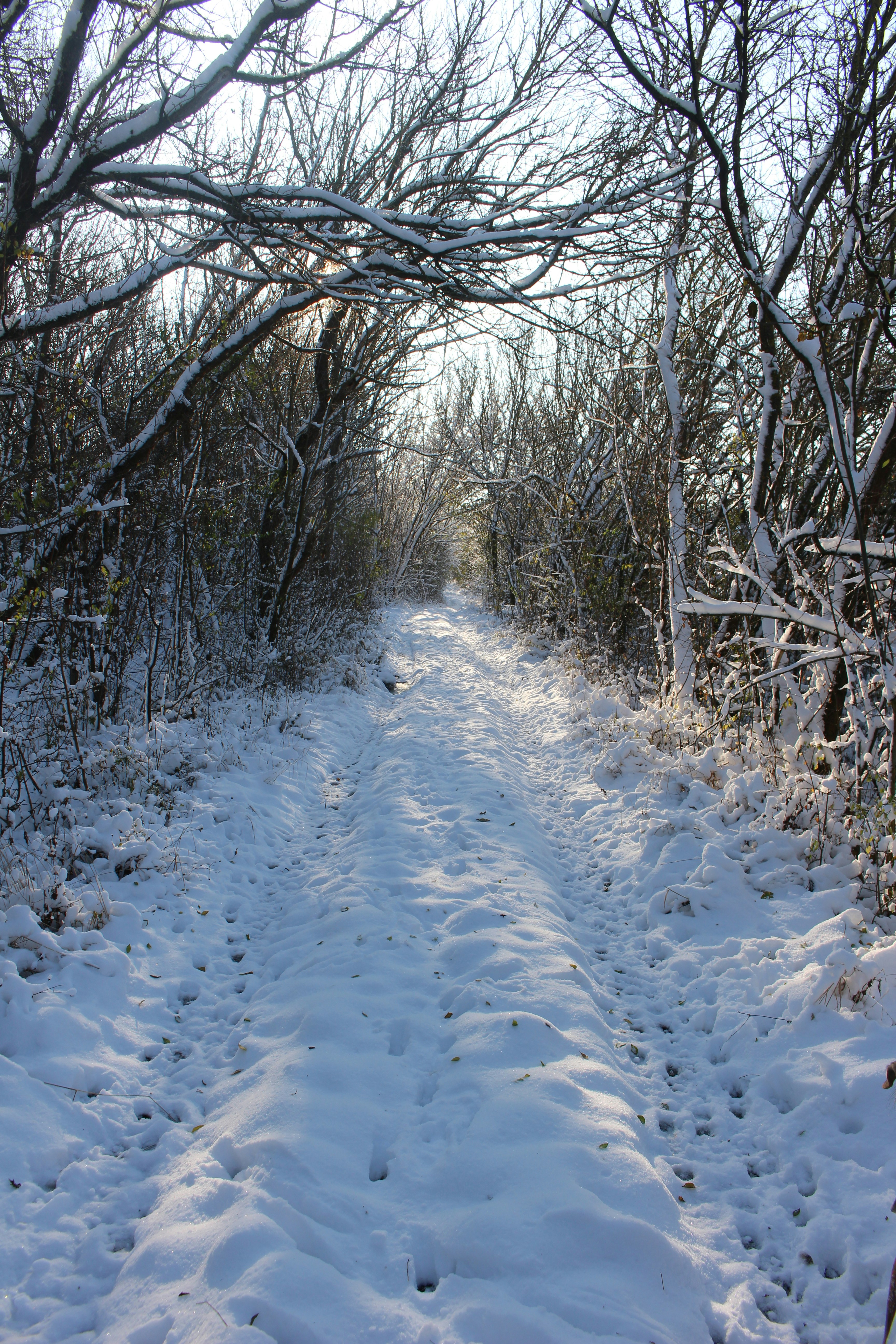 Photo by marjorylucabaxter