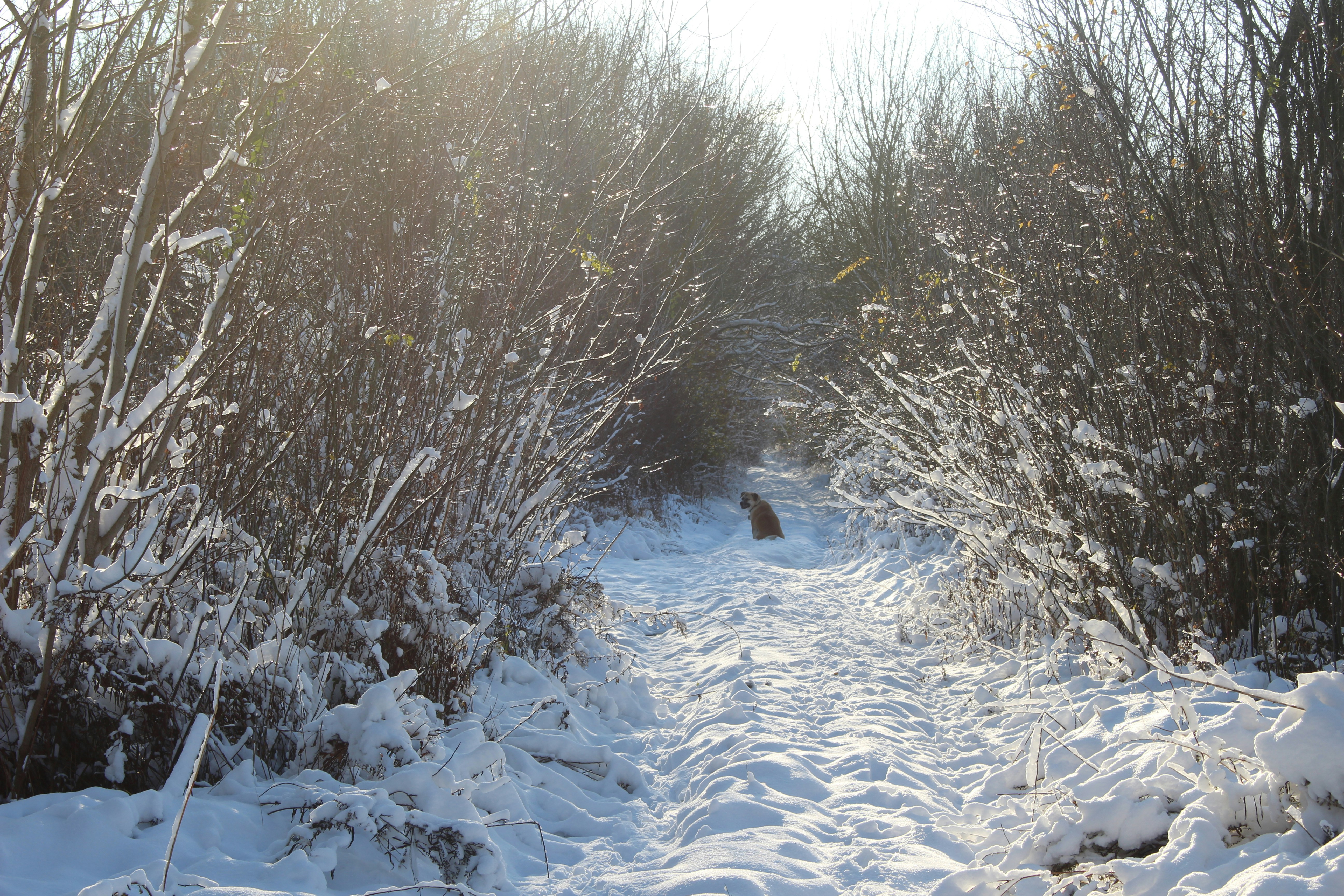 Photo by marjorylucabaxter