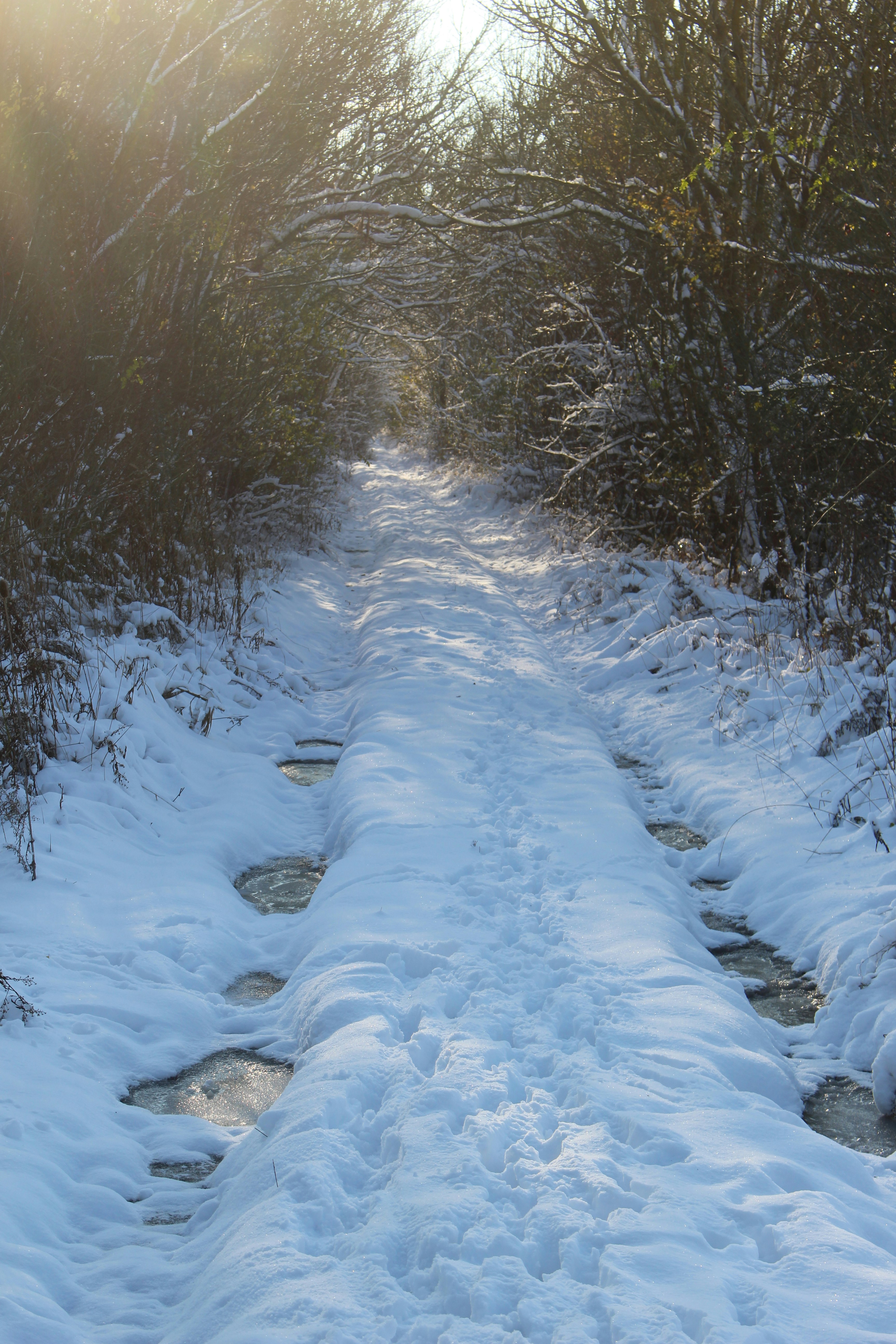 Photo by marjorylucabaxter