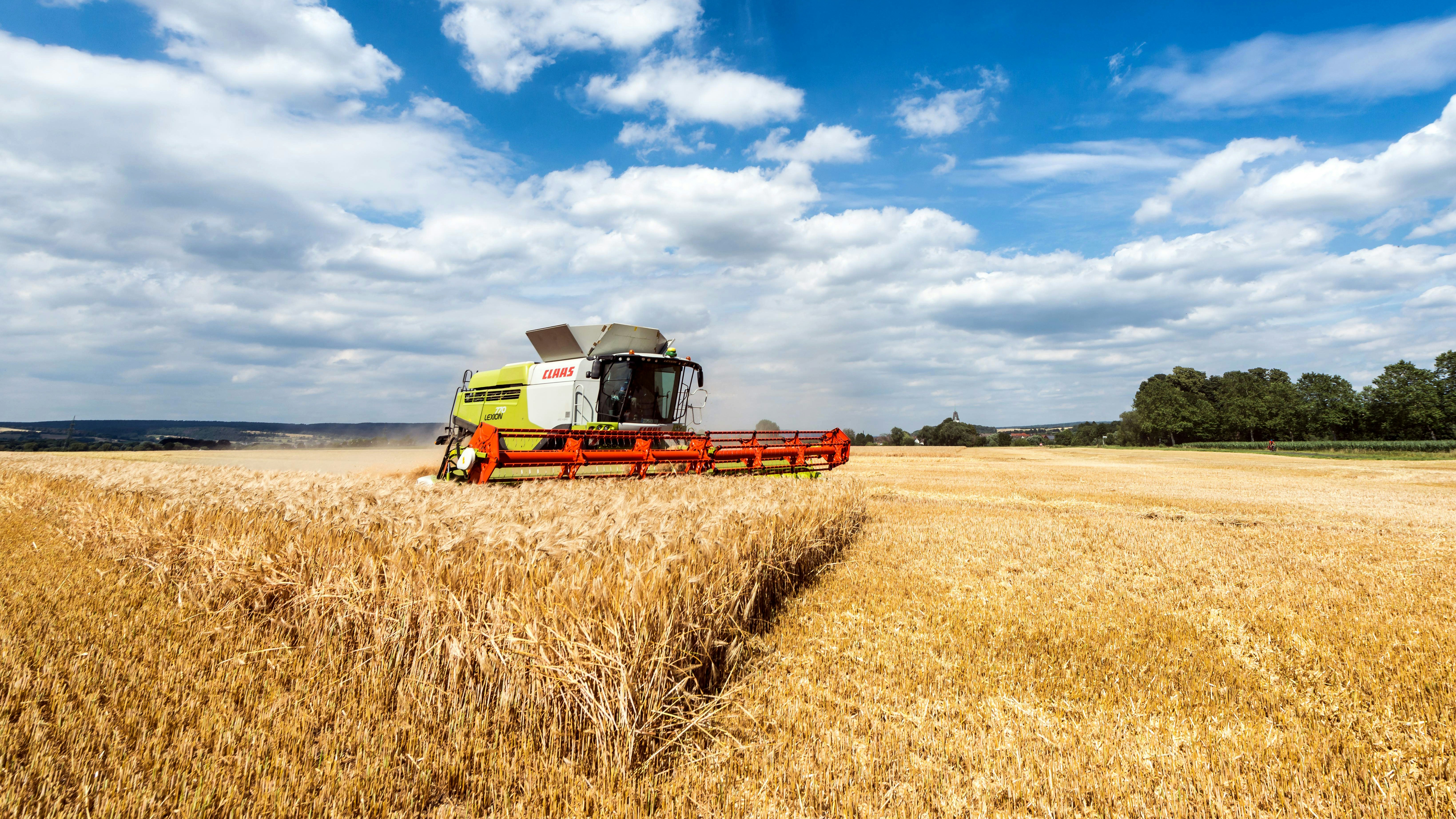 Photo by hamburgmeinefreundin