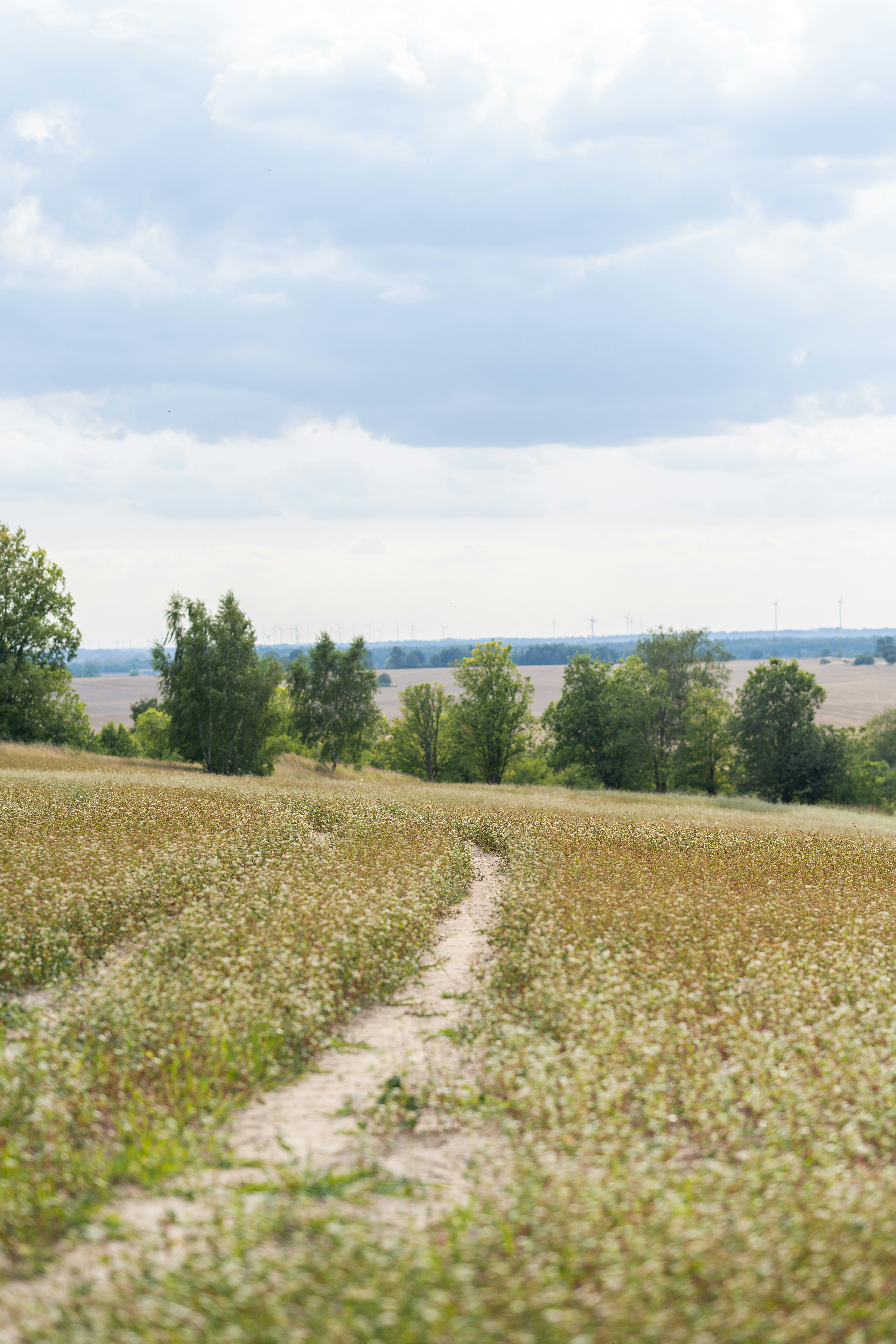 Photo by joanna_stolowicz