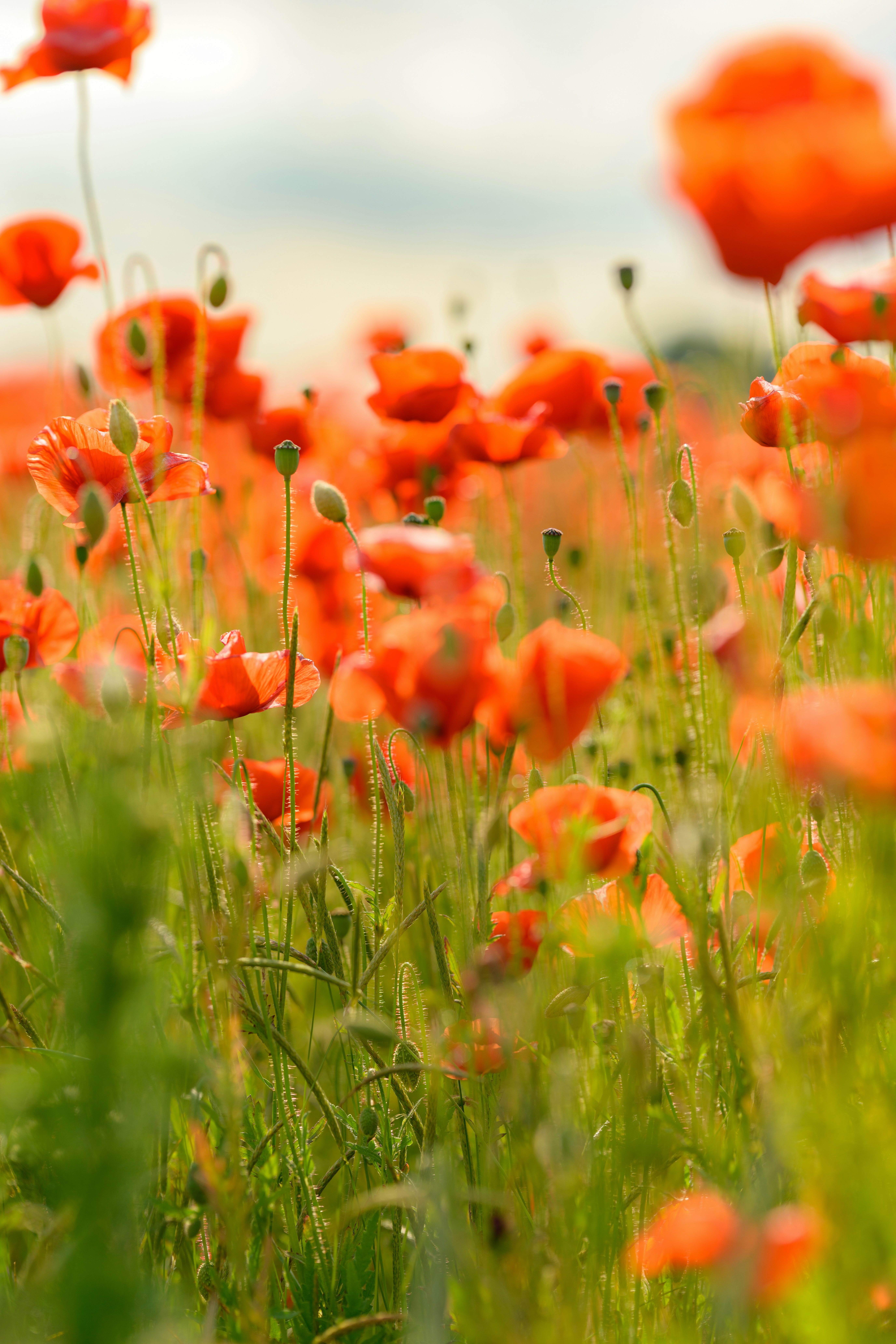 Photo by joanna_stolowicz