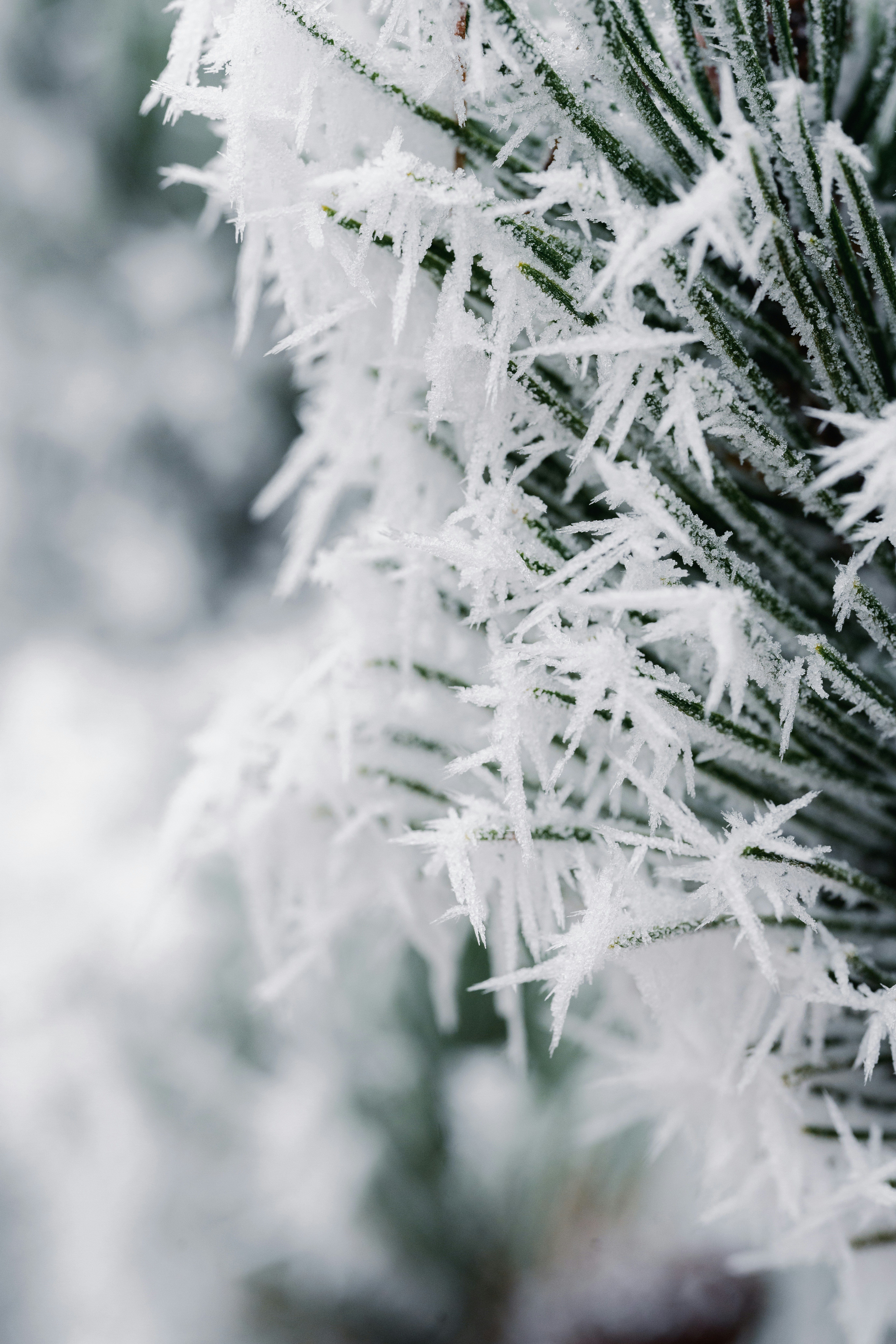 Photo by joanna_stolowicz