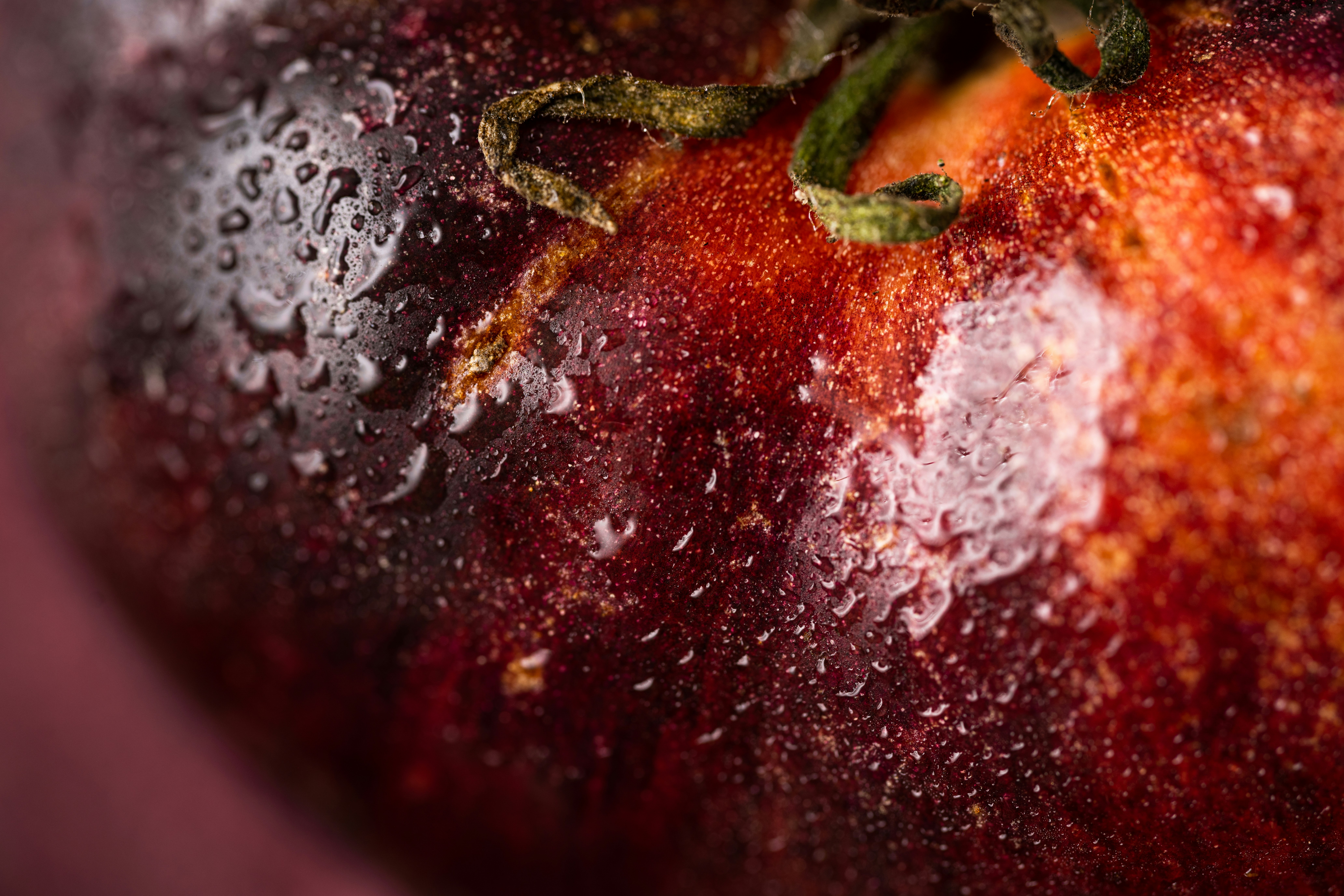 Photo by joanna_stolowicz