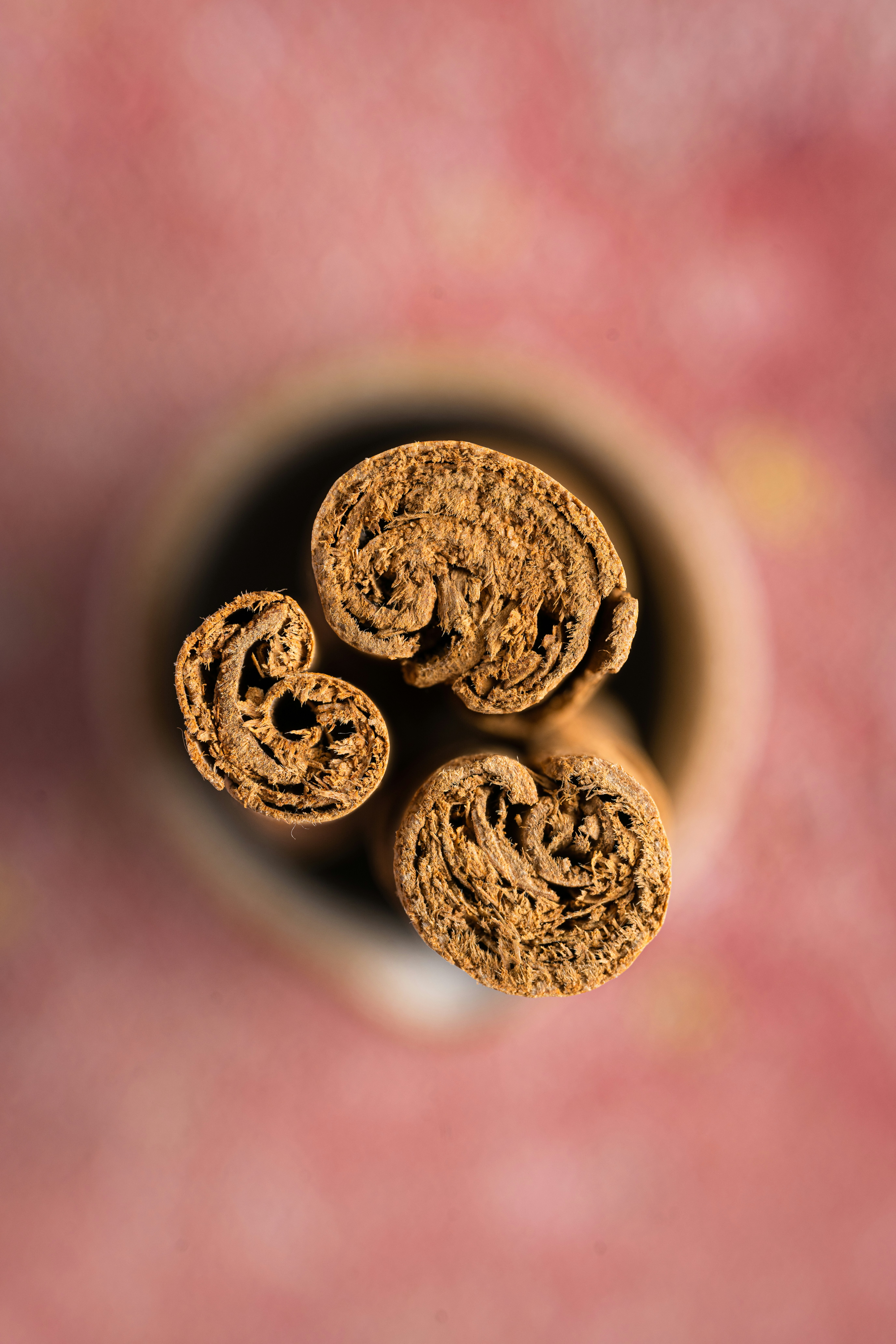 A comparison of Copenhagen pouches, chewing tobacco, and snuff