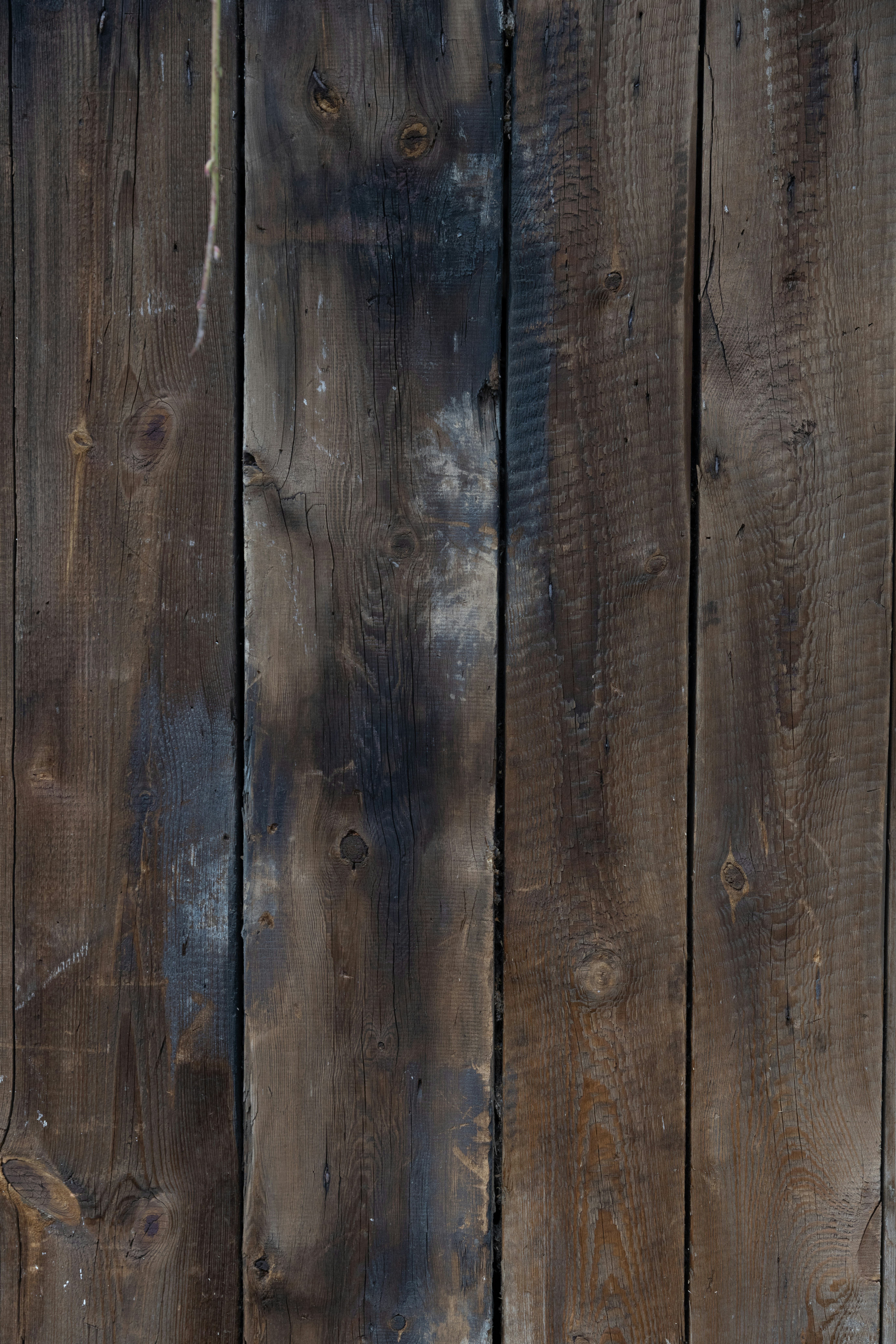 Photo by joanna_stolowicz