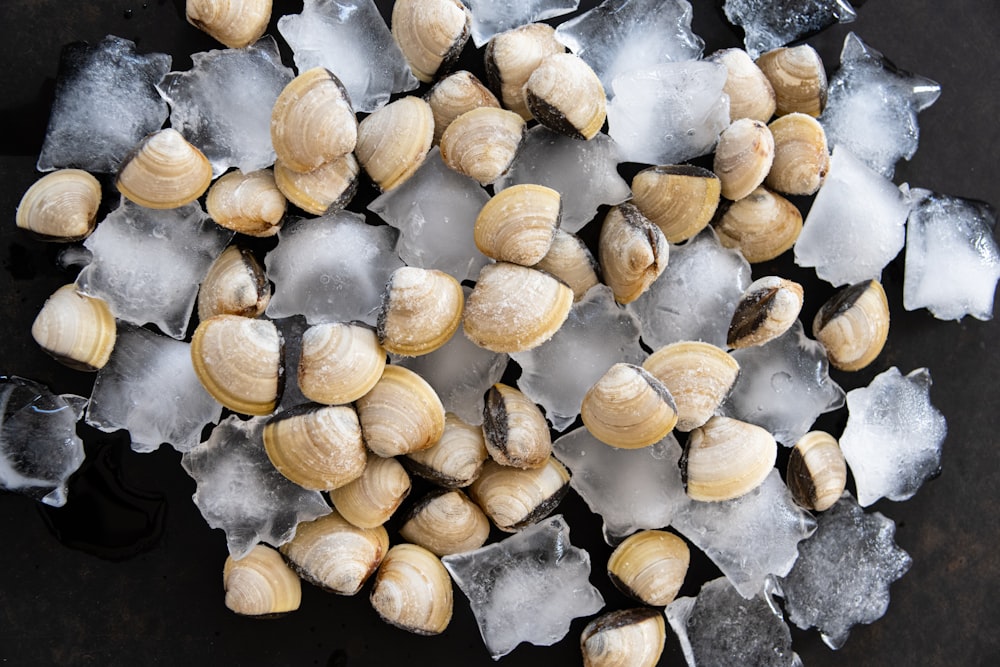 a bunch of nuts sitting on top of ice