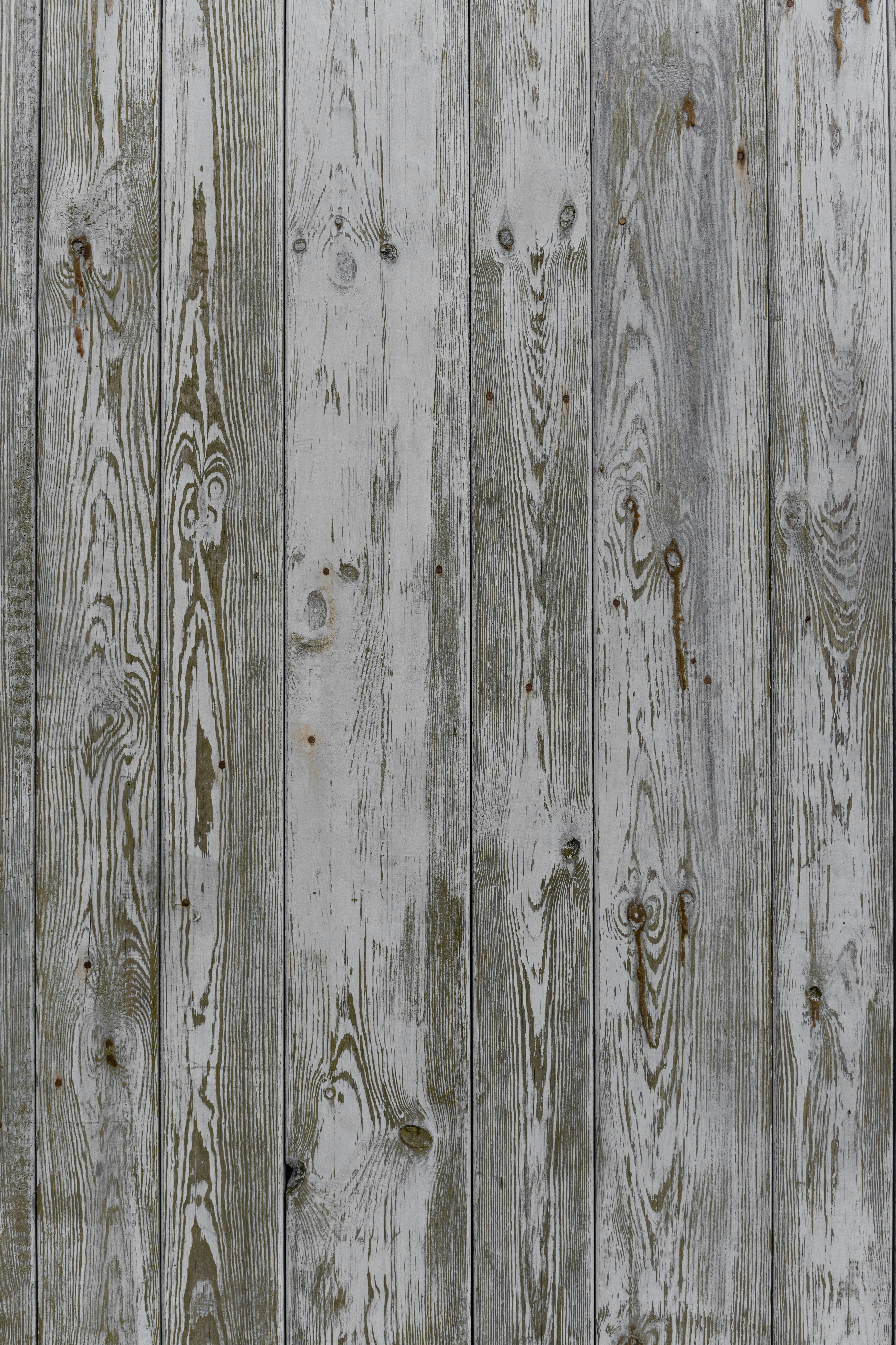 Photo by joanna_stolowicz