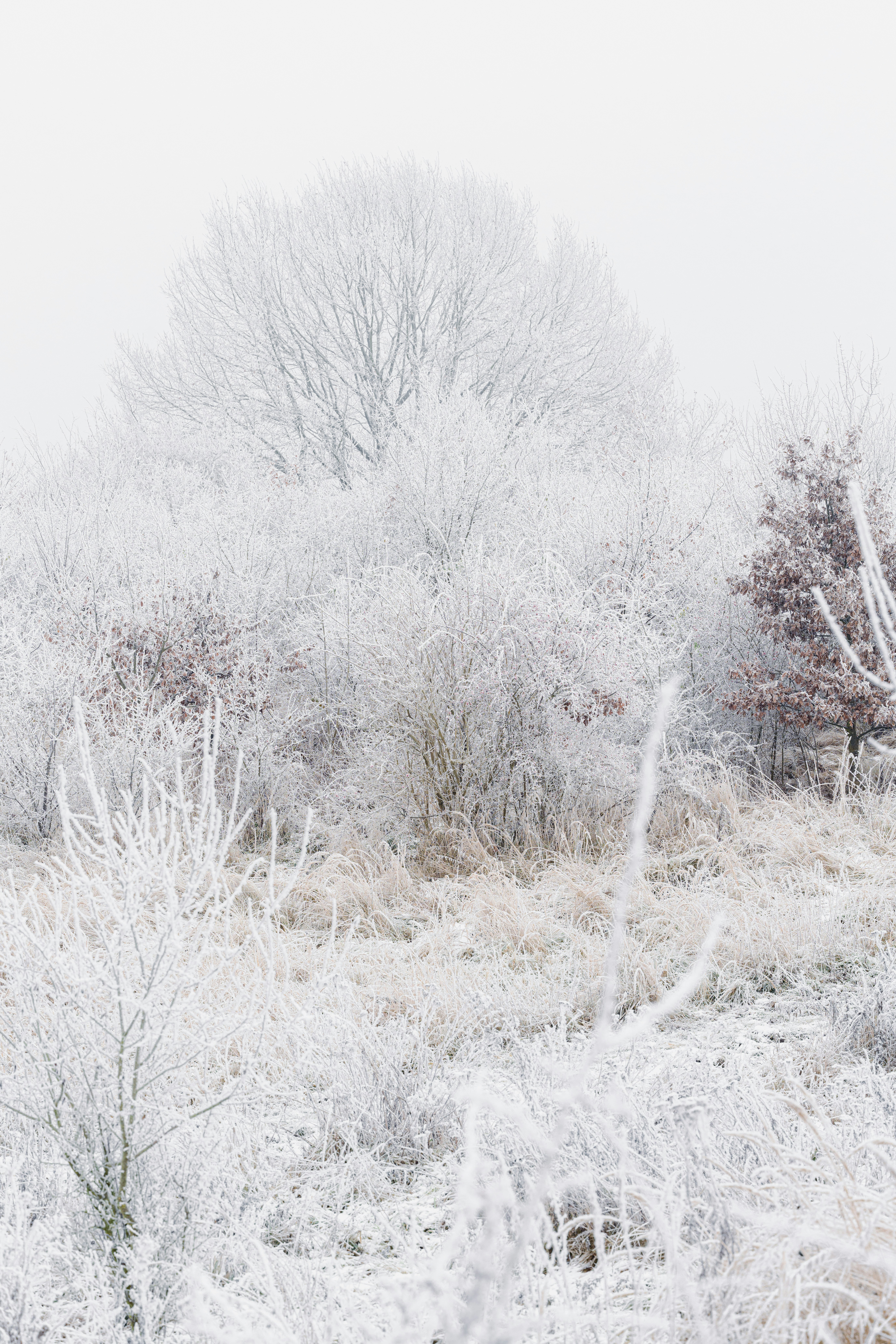 Photo by joanna_stolowicz