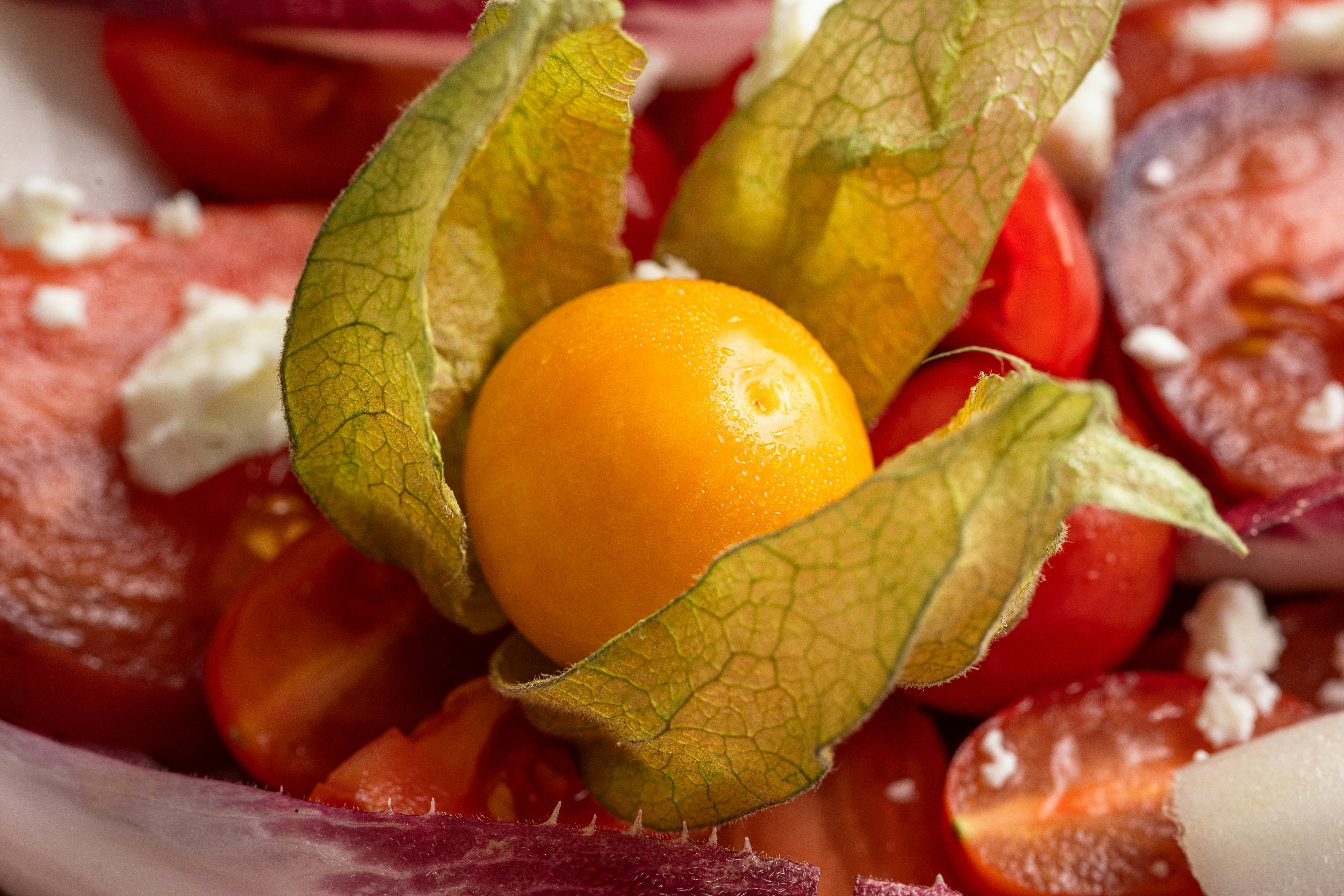 Photo by joanna_stolowicz