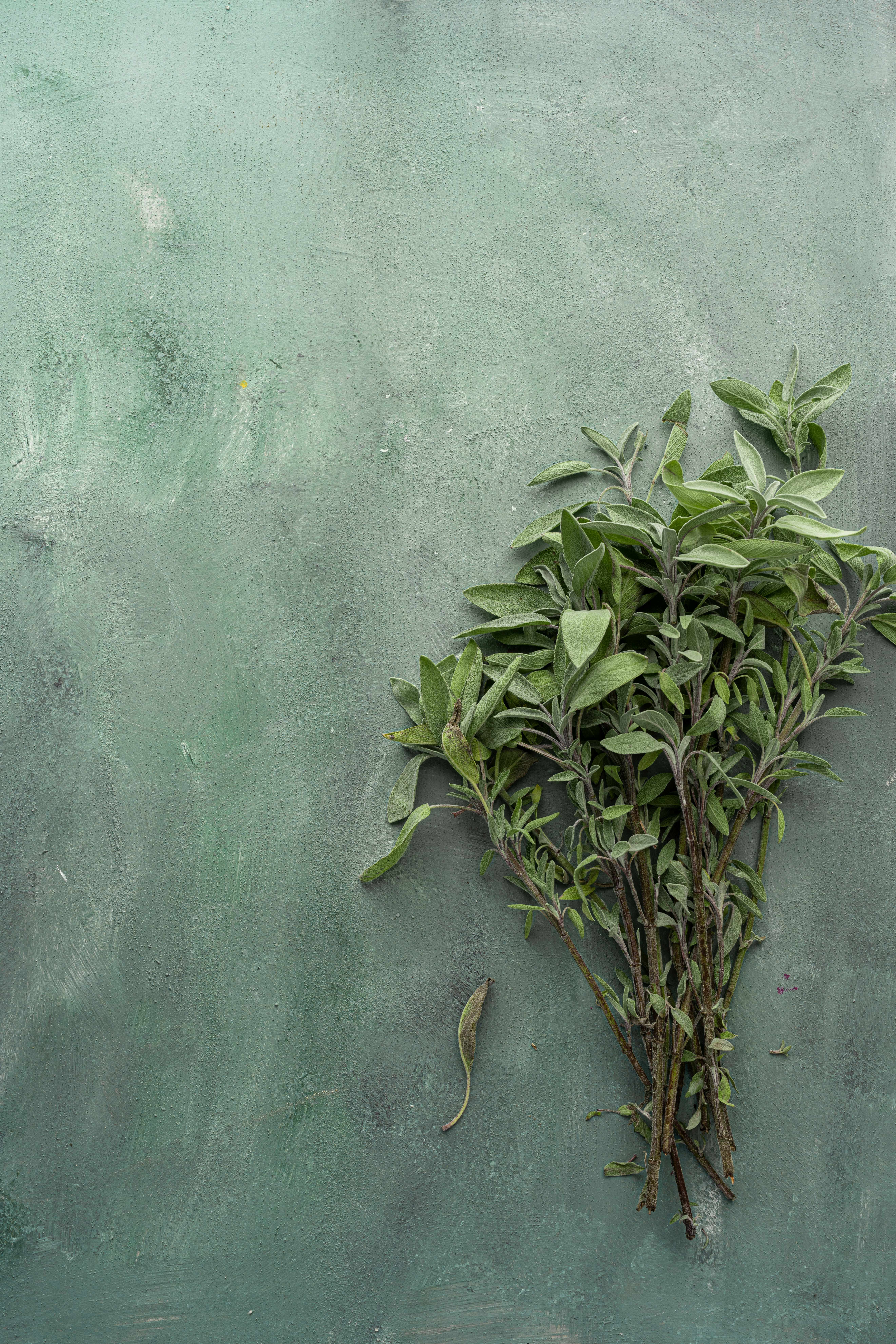 Photo by joanna_stolowicz