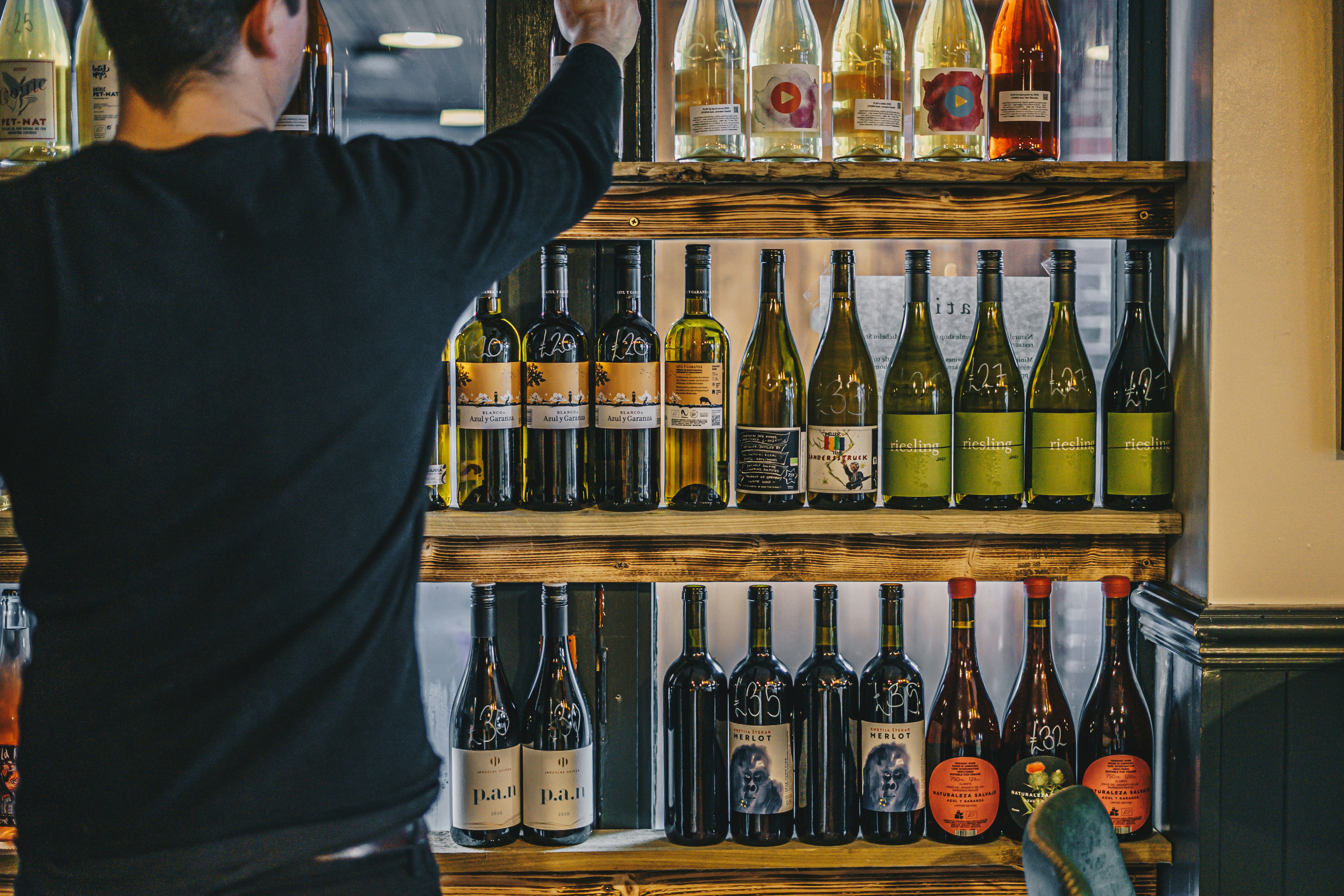 What No Algorithm Can Taste: The Case for Human Expertise in Wine Recommendation